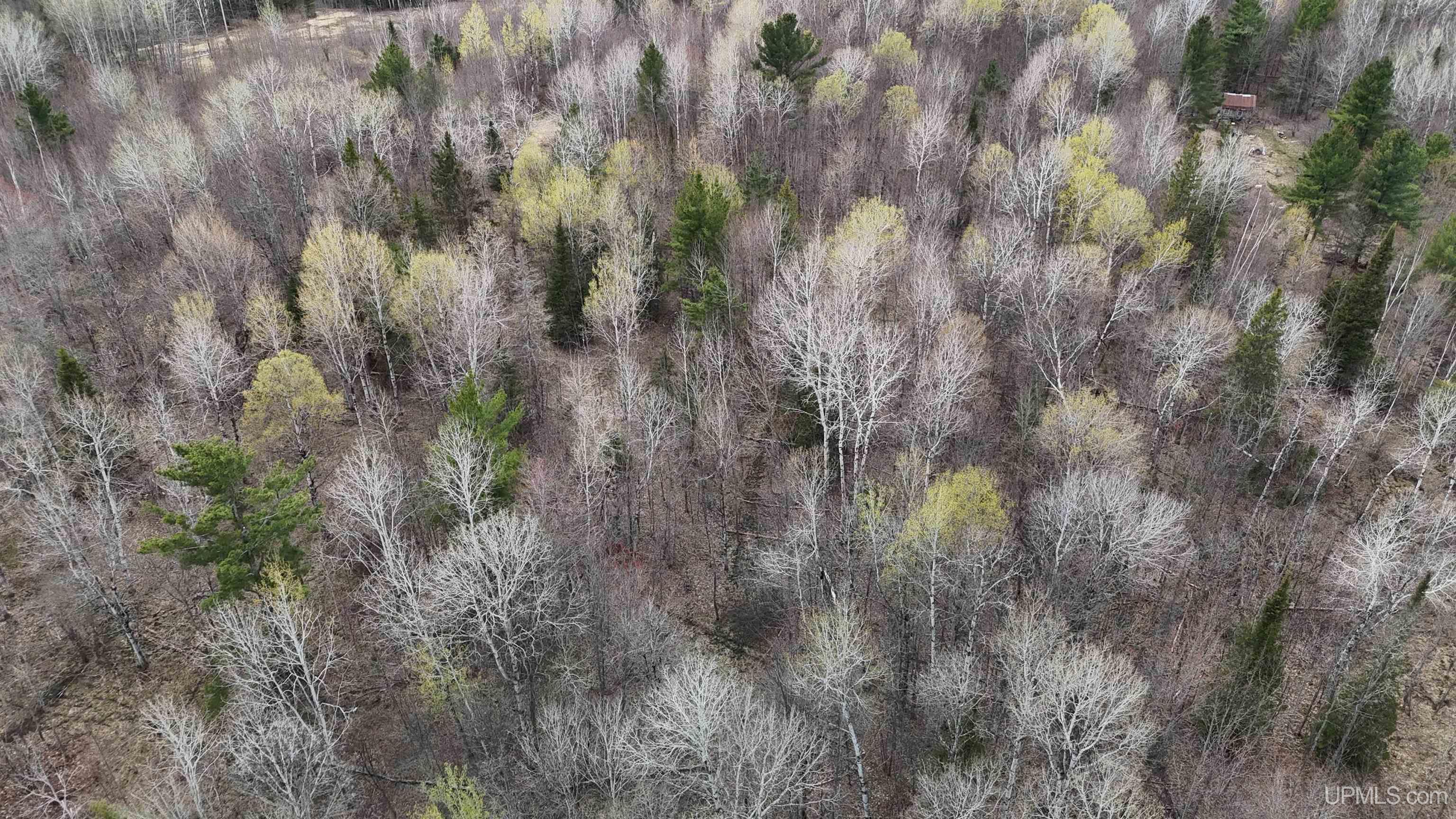 TBD10 off US45 Rockland Highway, Rockland, MI, 49953
