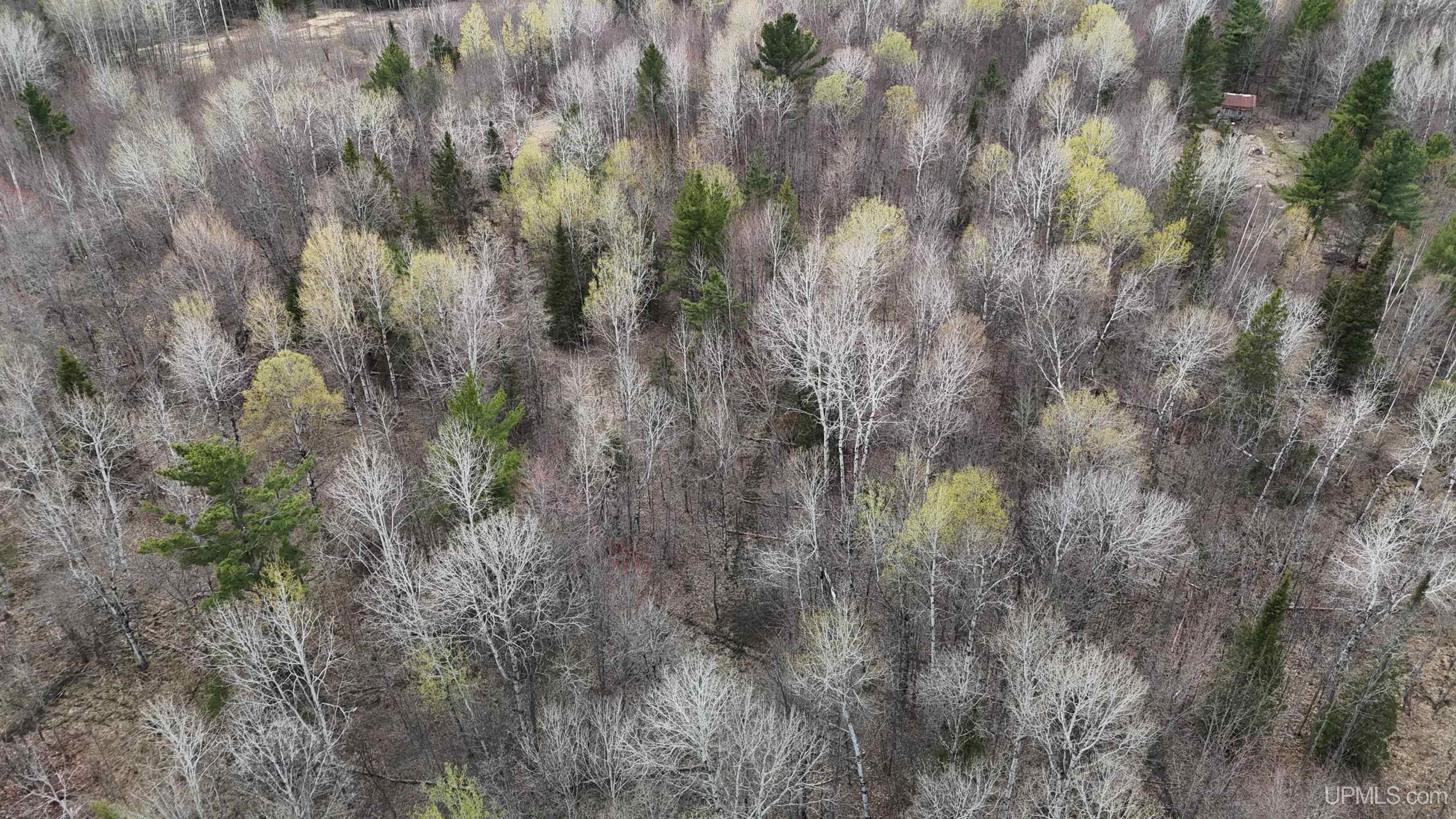 TBD10 off US45 Rockland Highway, Rockland, MI, 49953
