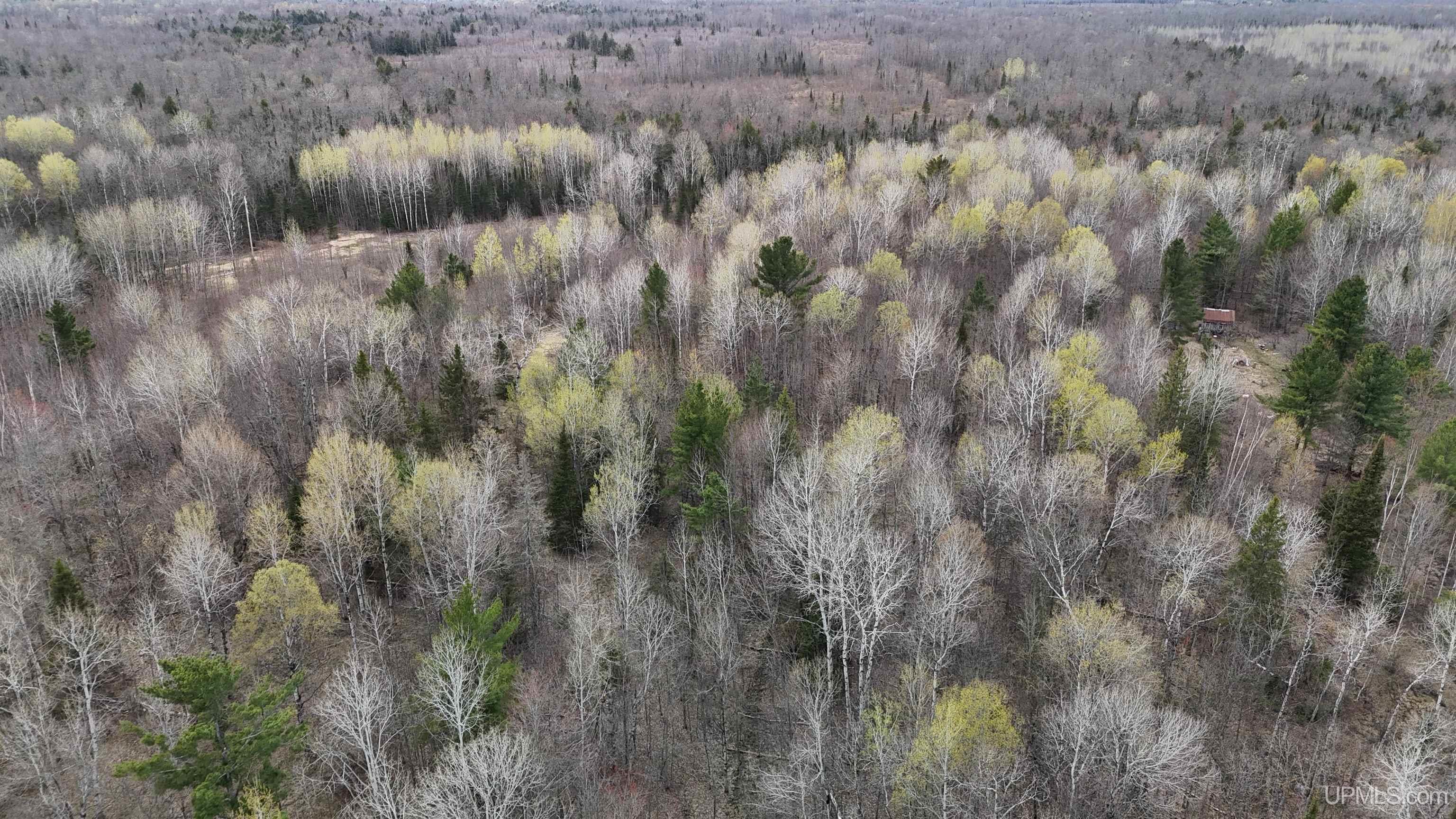 TBD10 off US45 Rockland Highway, Rockland, MI, 49953