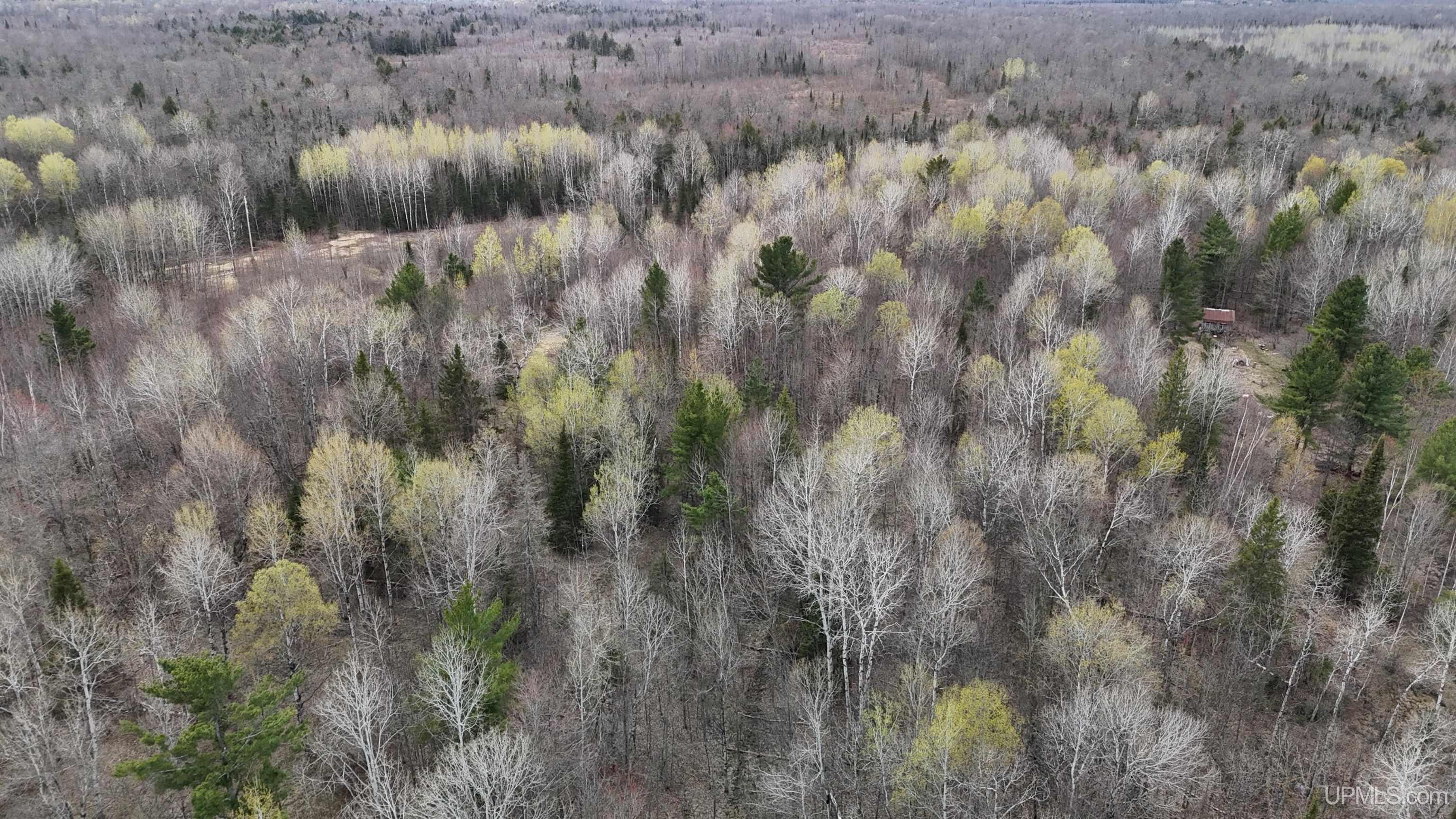 TBD10 off US45 Rockland Highway, Rockland, MI, 49953