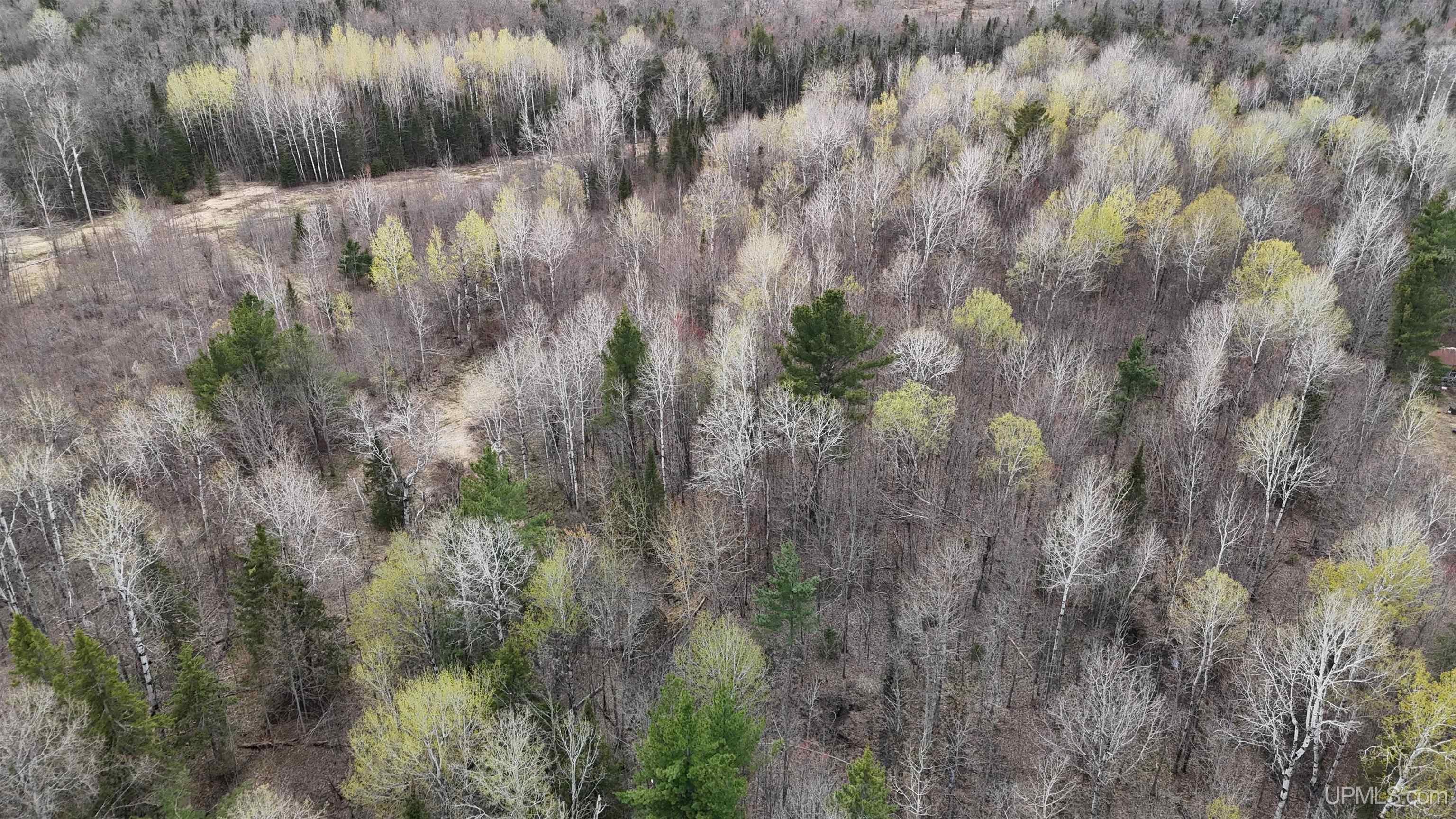 TBD10 off US45 Rockland Highway, Rockland, MI, 49953