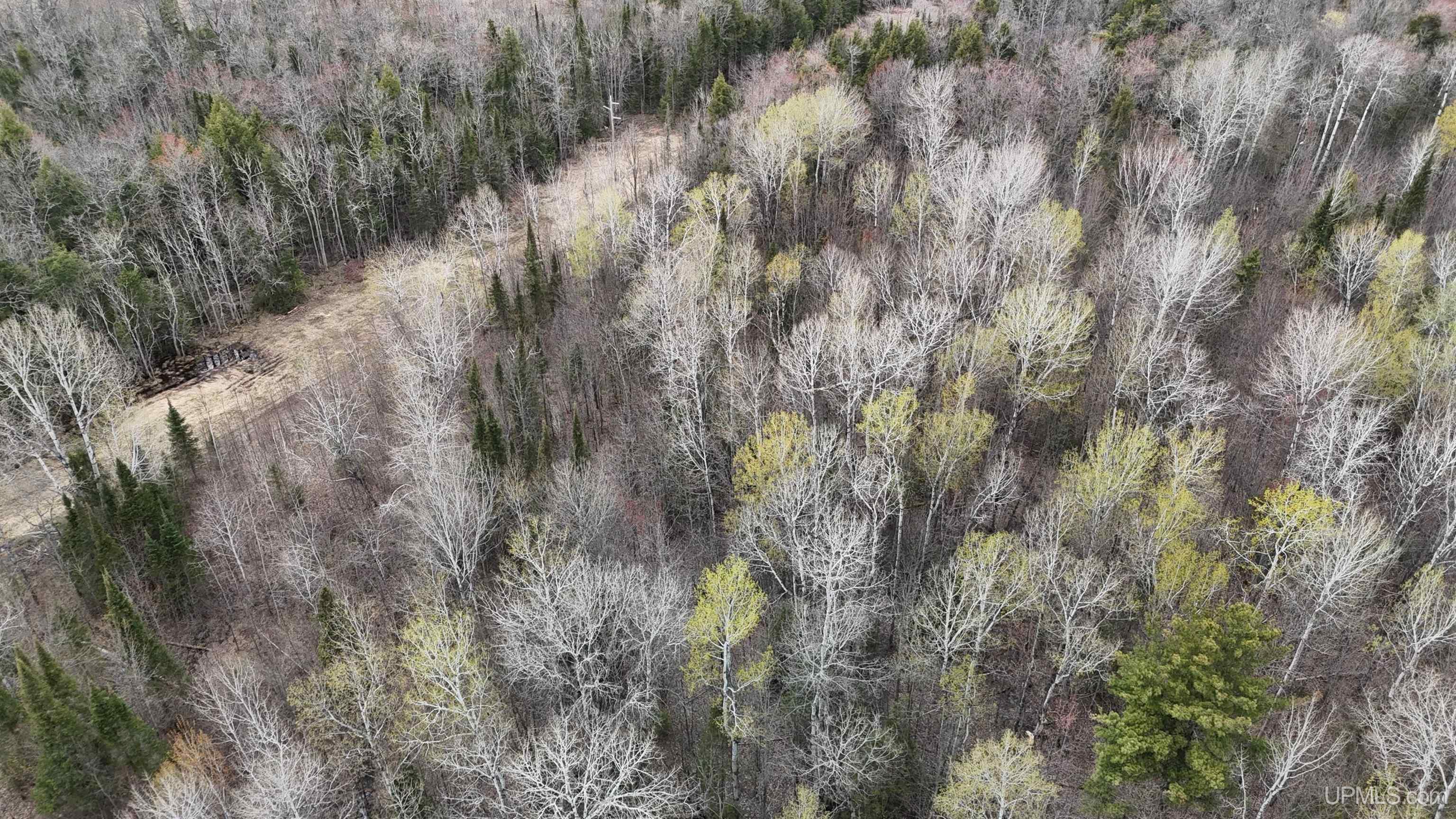TBD10 off US45 Rockland Highway, Rockland, MI, 49953