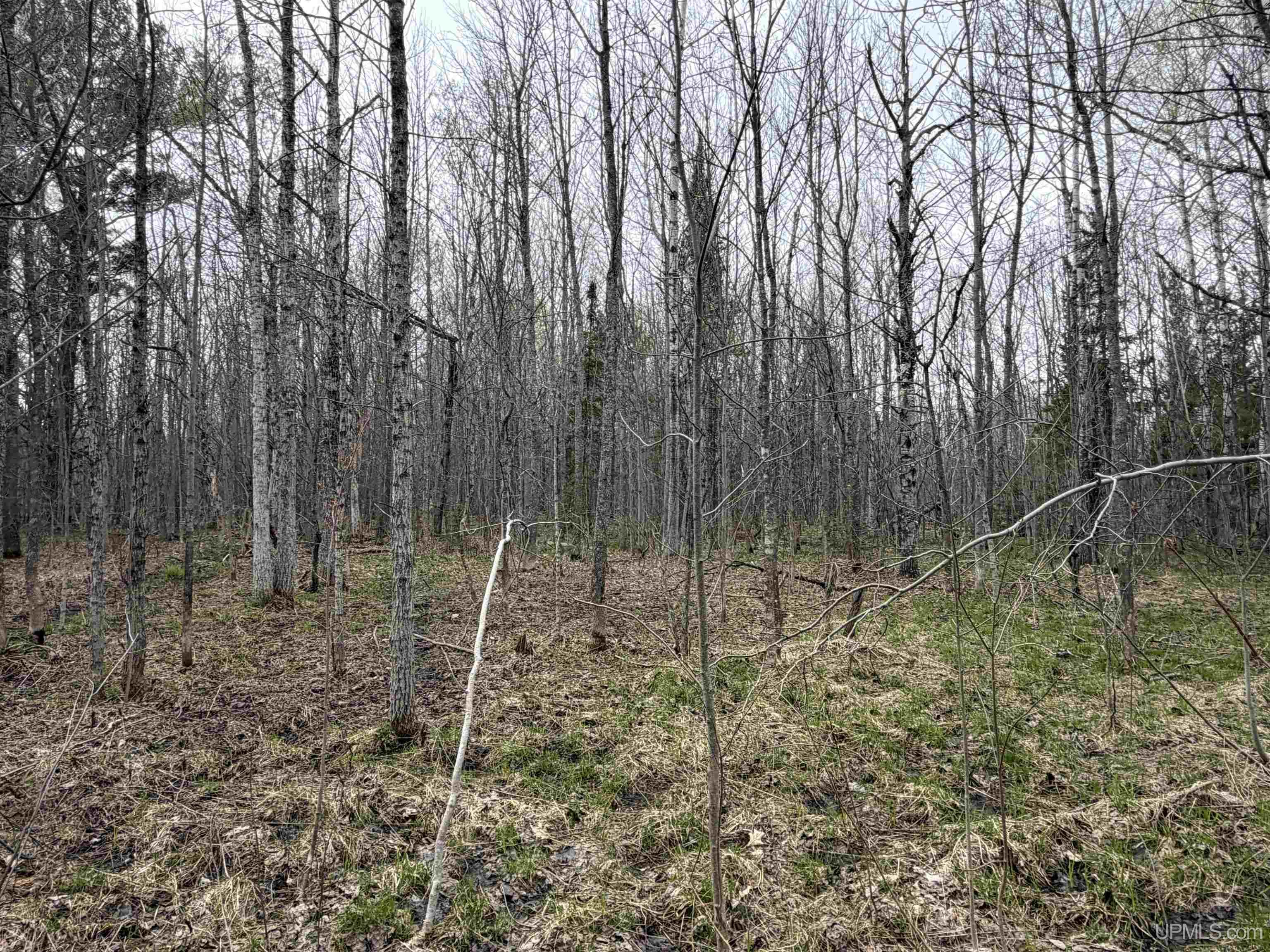 TBD10 off US45 Rockland Highway, Rockland, MI, 49953