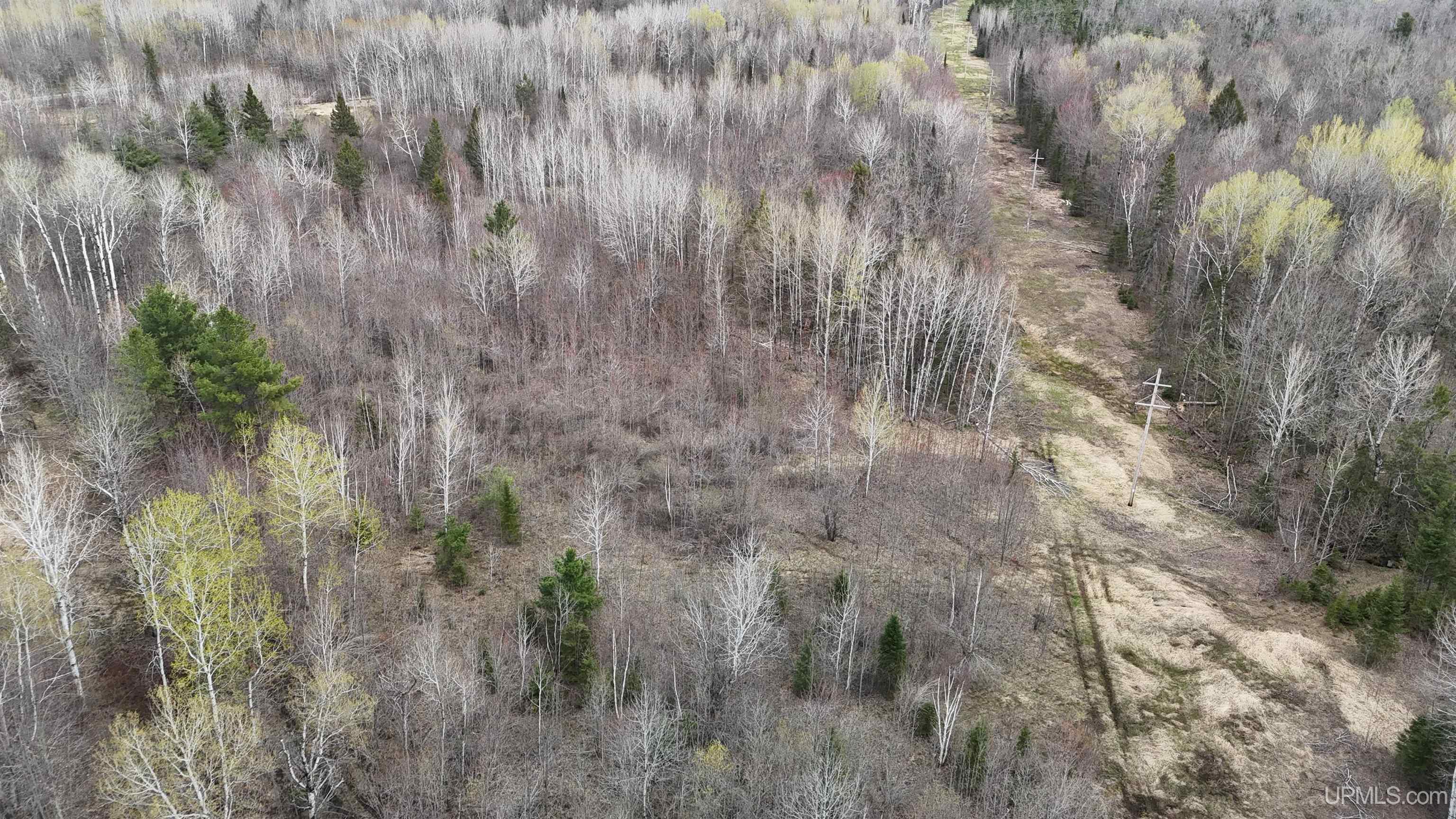 TBD10 off US45 Rockland Highway, Rockland, MI, 49953