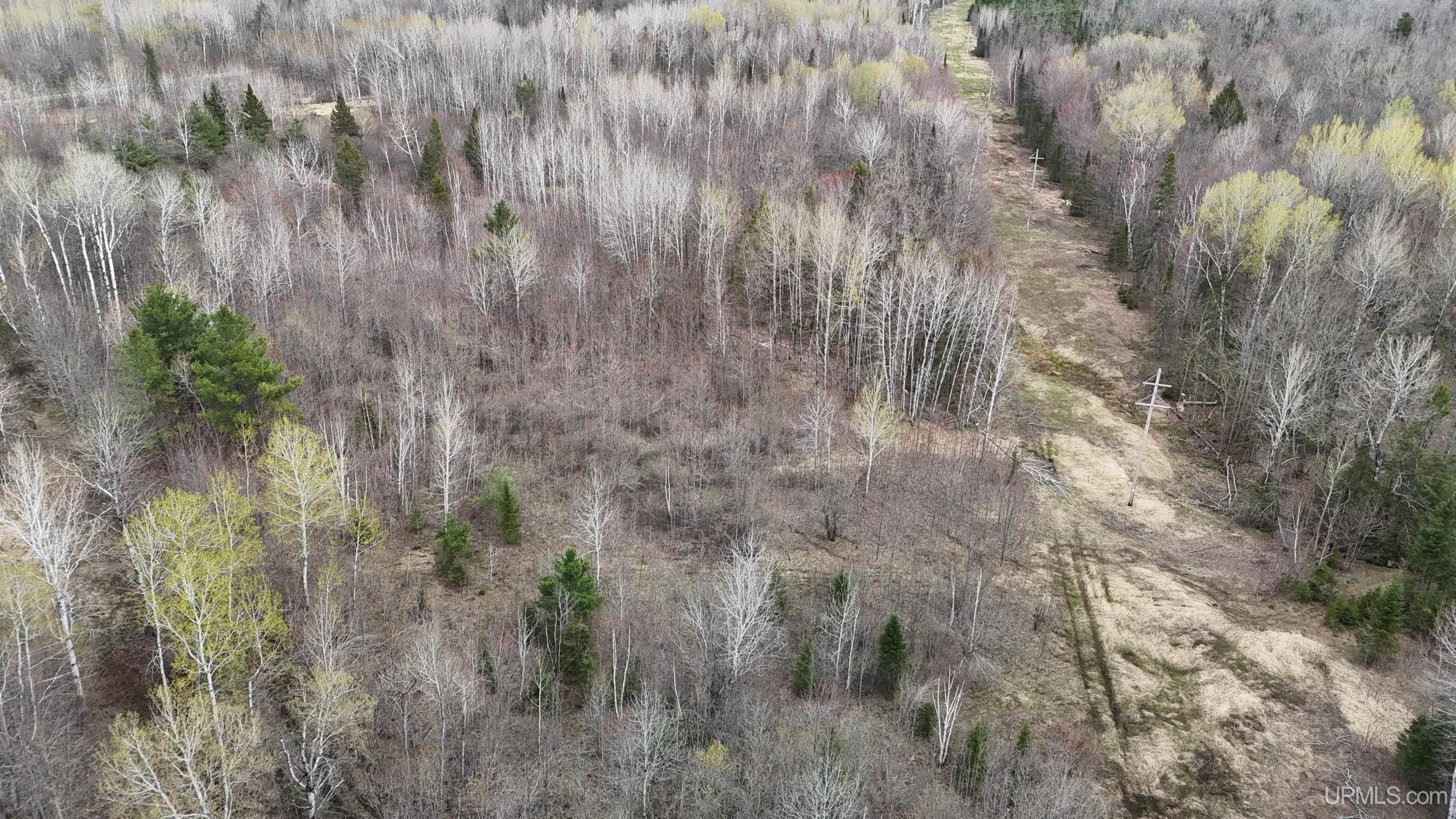 TBD10 off US45 Rockland Highway, Rockland, MI, 49953