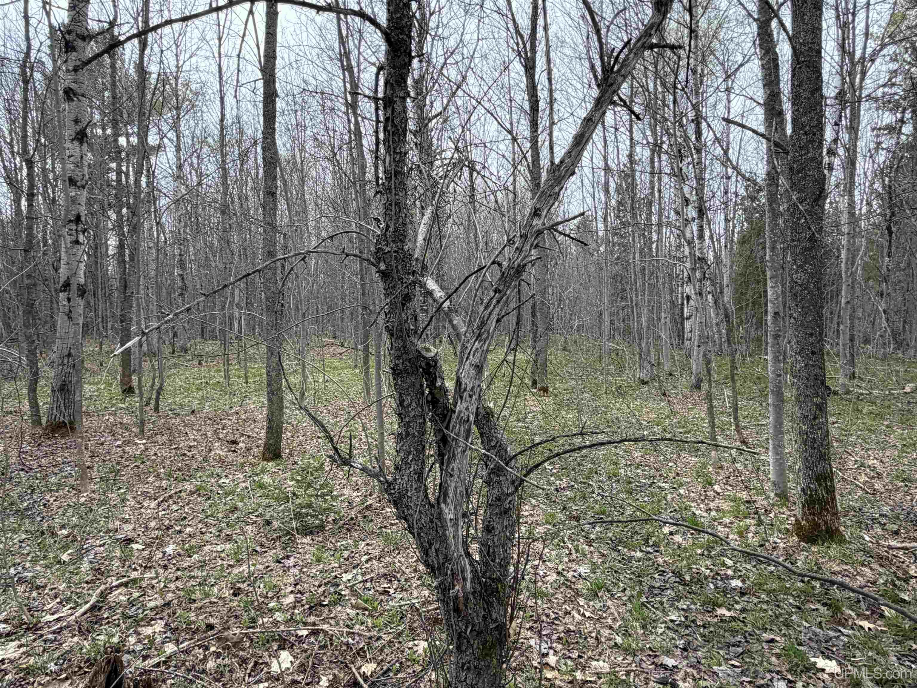 TBD10 off US45 Rockland Highway, Rockland, MI, 49953
