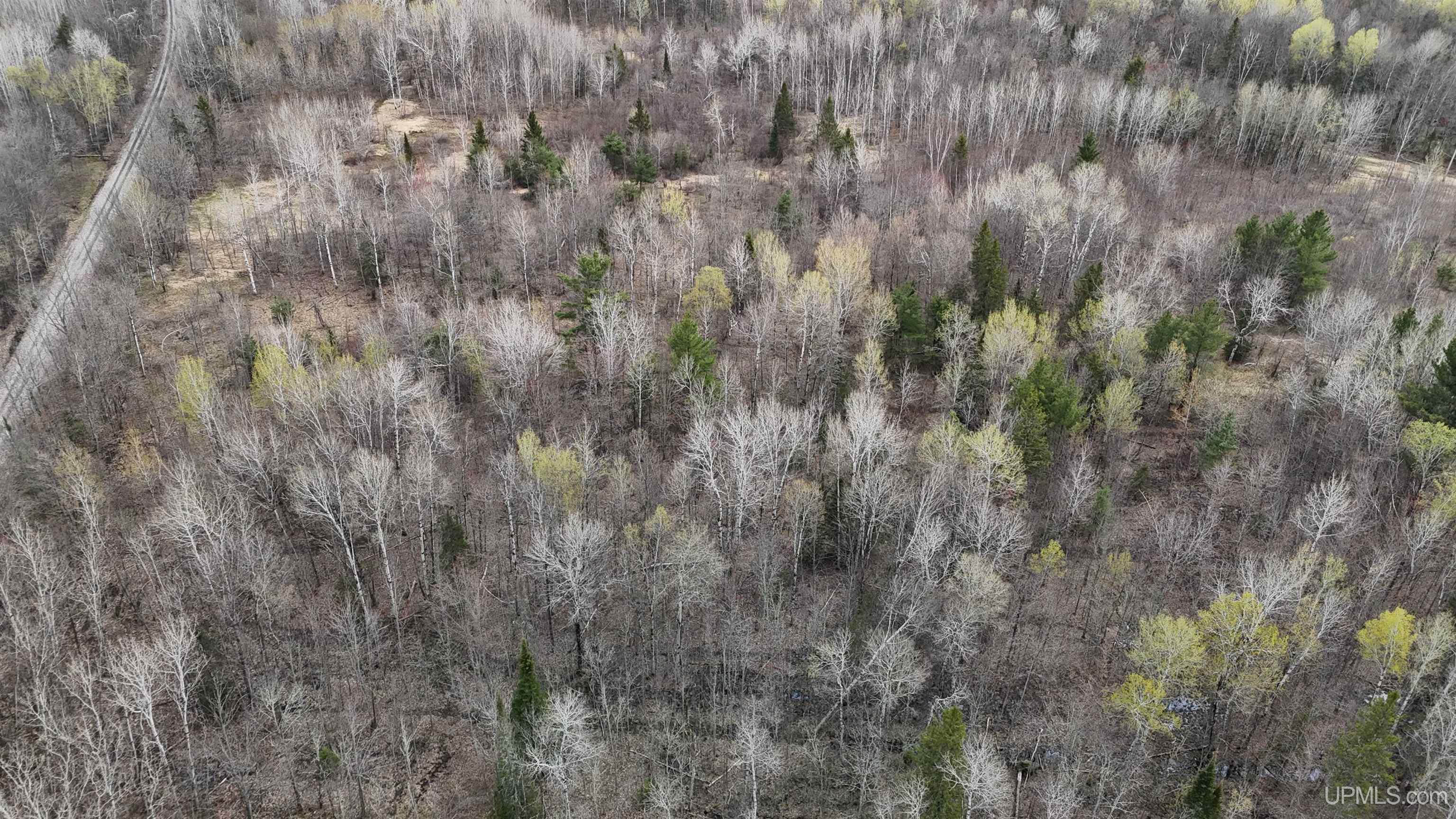 TBD10 off US45 Rockland Highway, Rockland, MI, 49953