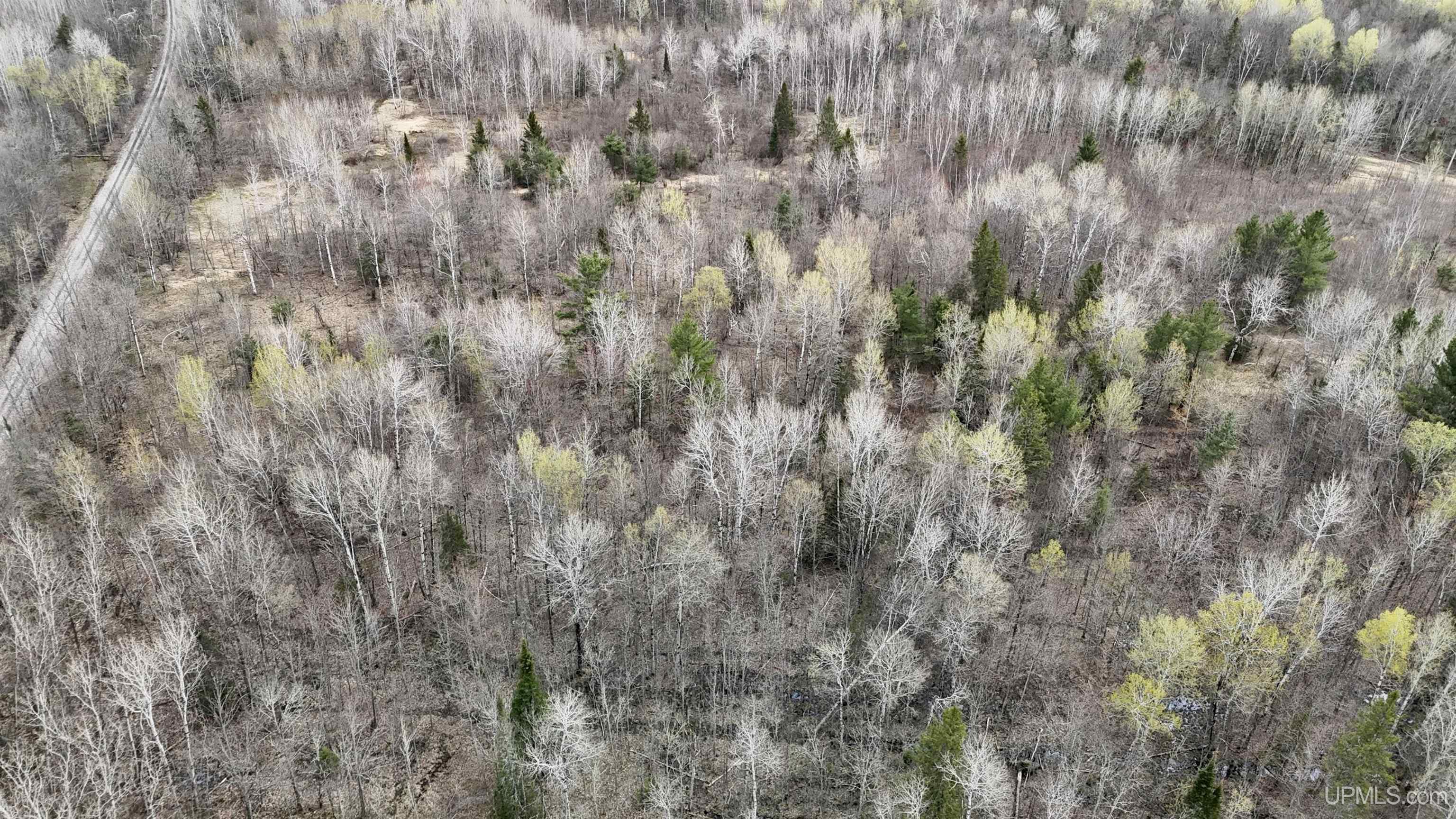 TBD10 off US45 Rockland Highway, Rockland, MI, 49953