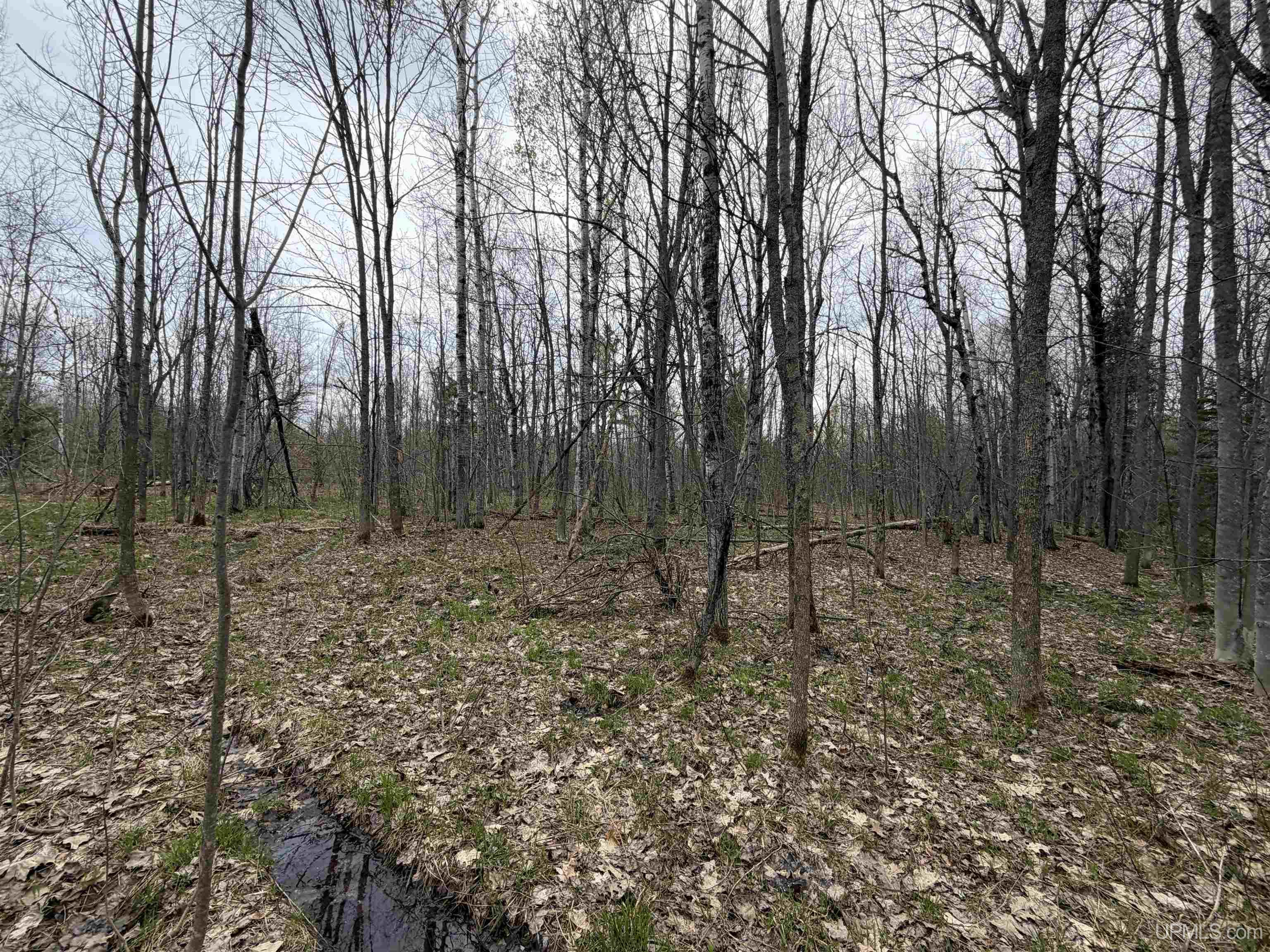 TBD10 off US45 Rockland Highway, Rockland, MI, 49953
