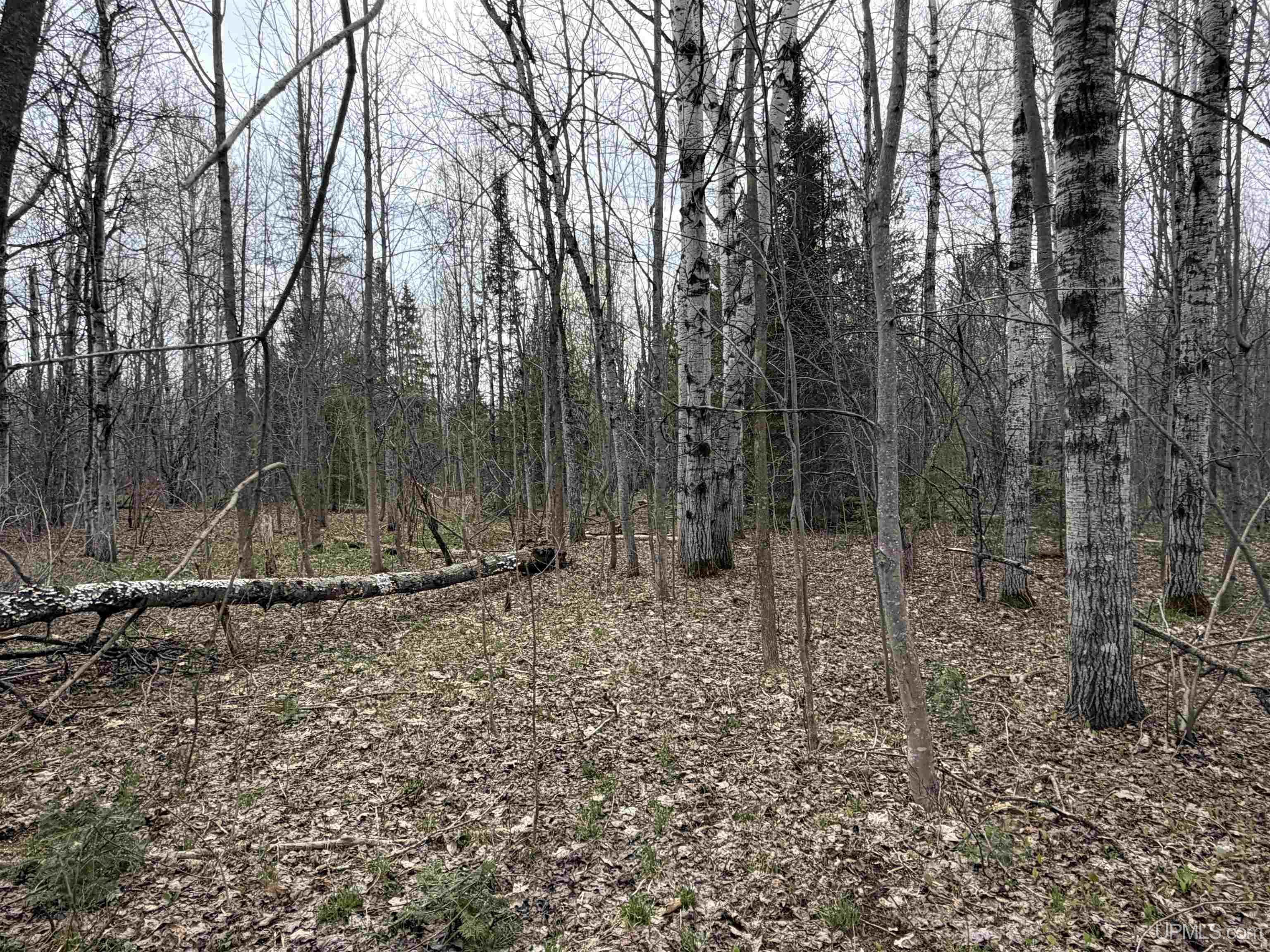 TBD10 off US45 Rockland Highway, Rockland, MI, 49953