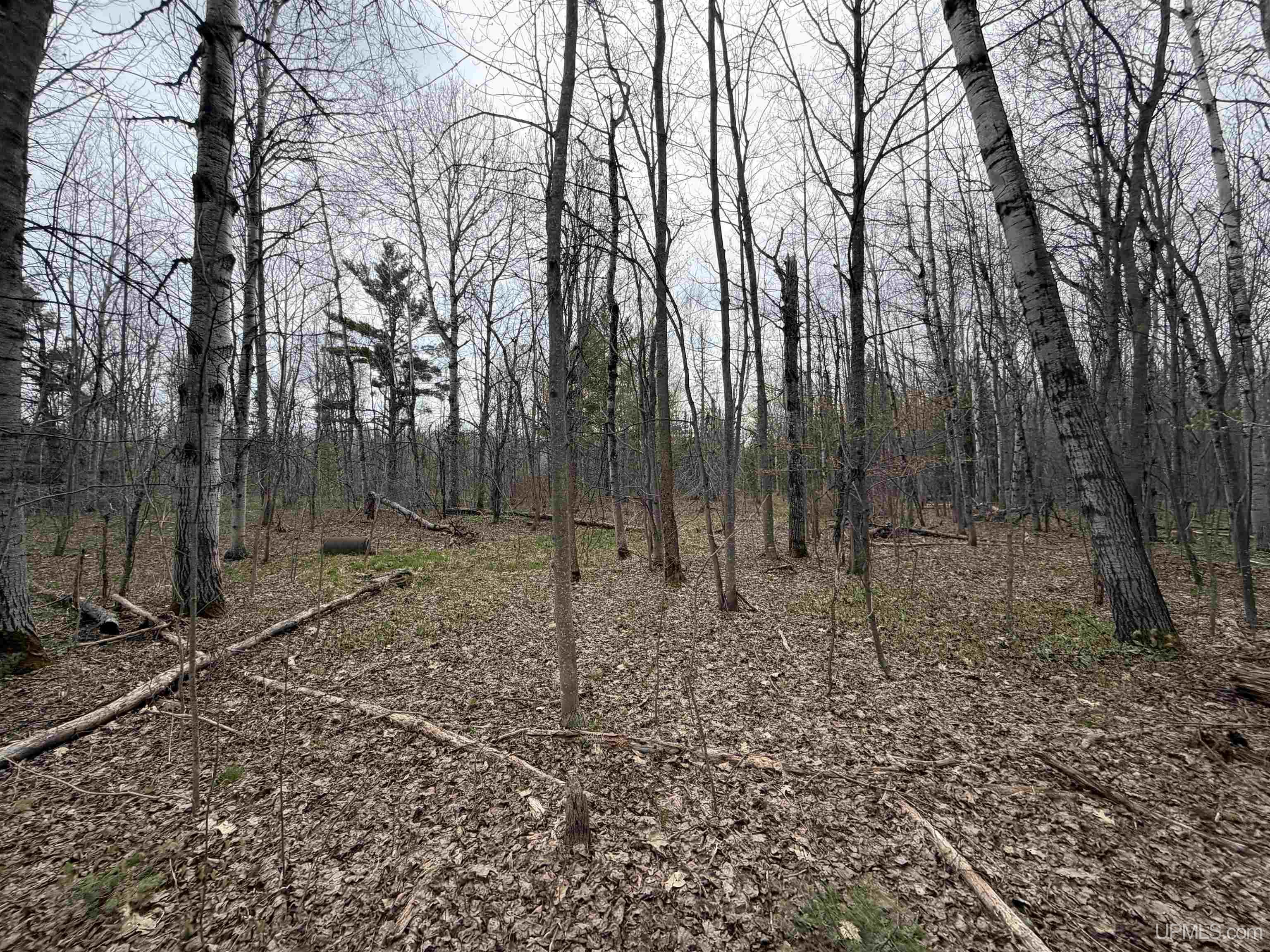 TBD10 off US45 Rockland Highway, Rockland, MI, 49953