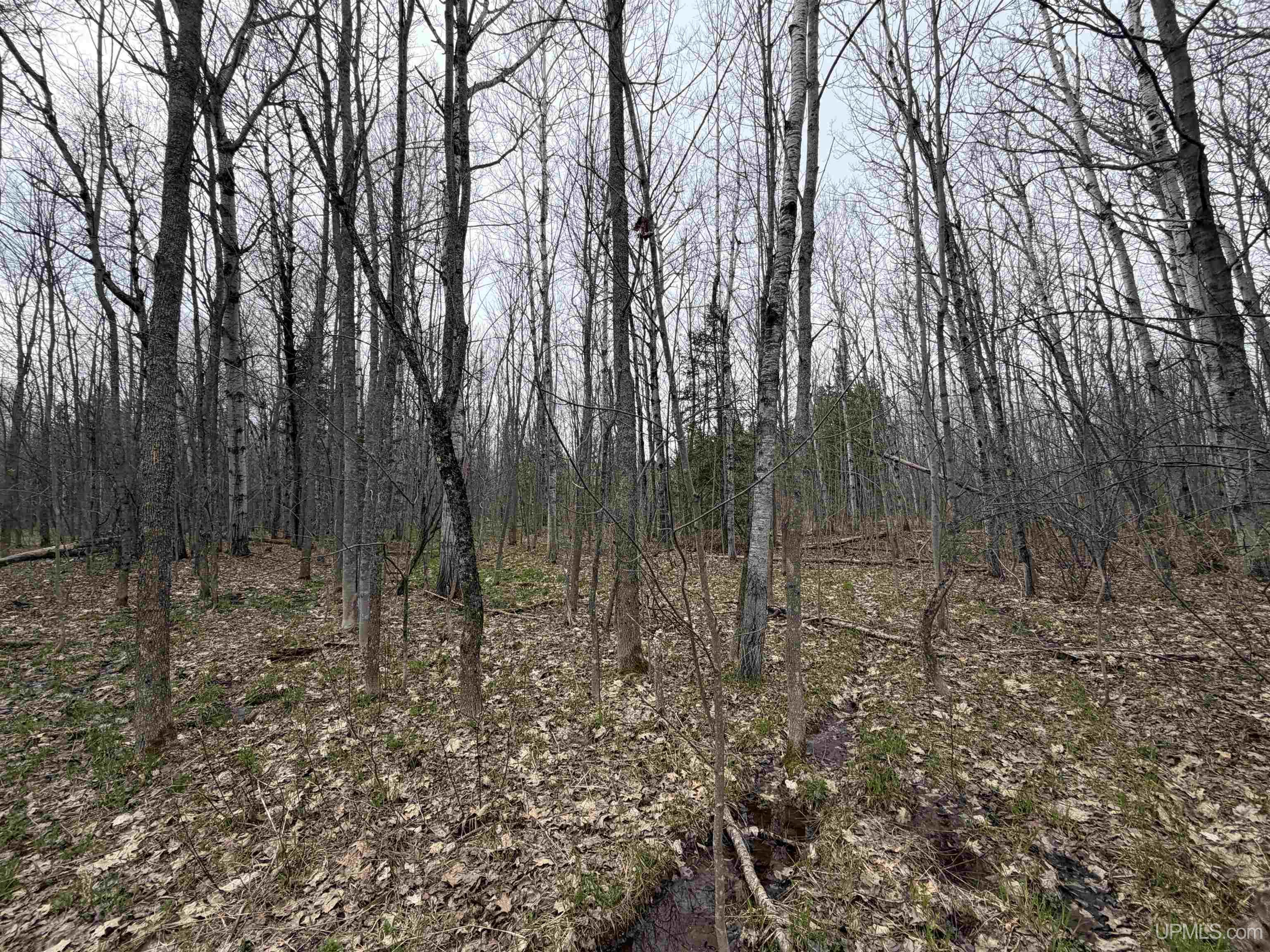 TBD10 off US45 Rockland Highway, Rockland, MI, 49953