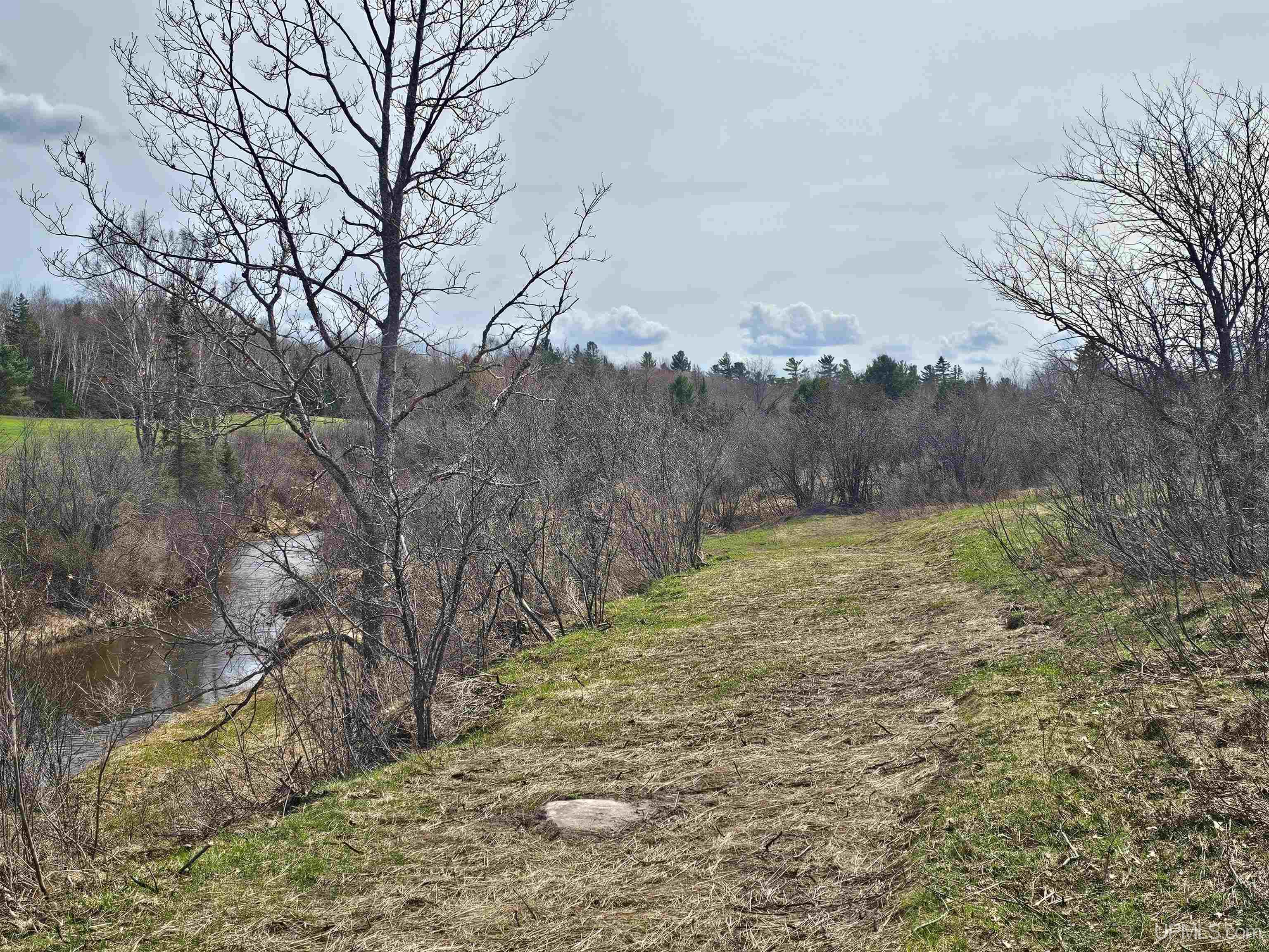 MLS 50207065 Large photo number 26 