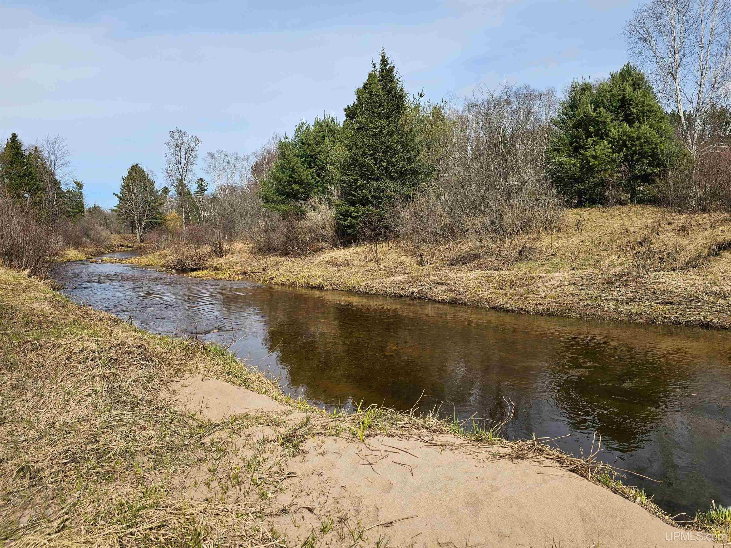 MLS 50207065 Large photo number 8 