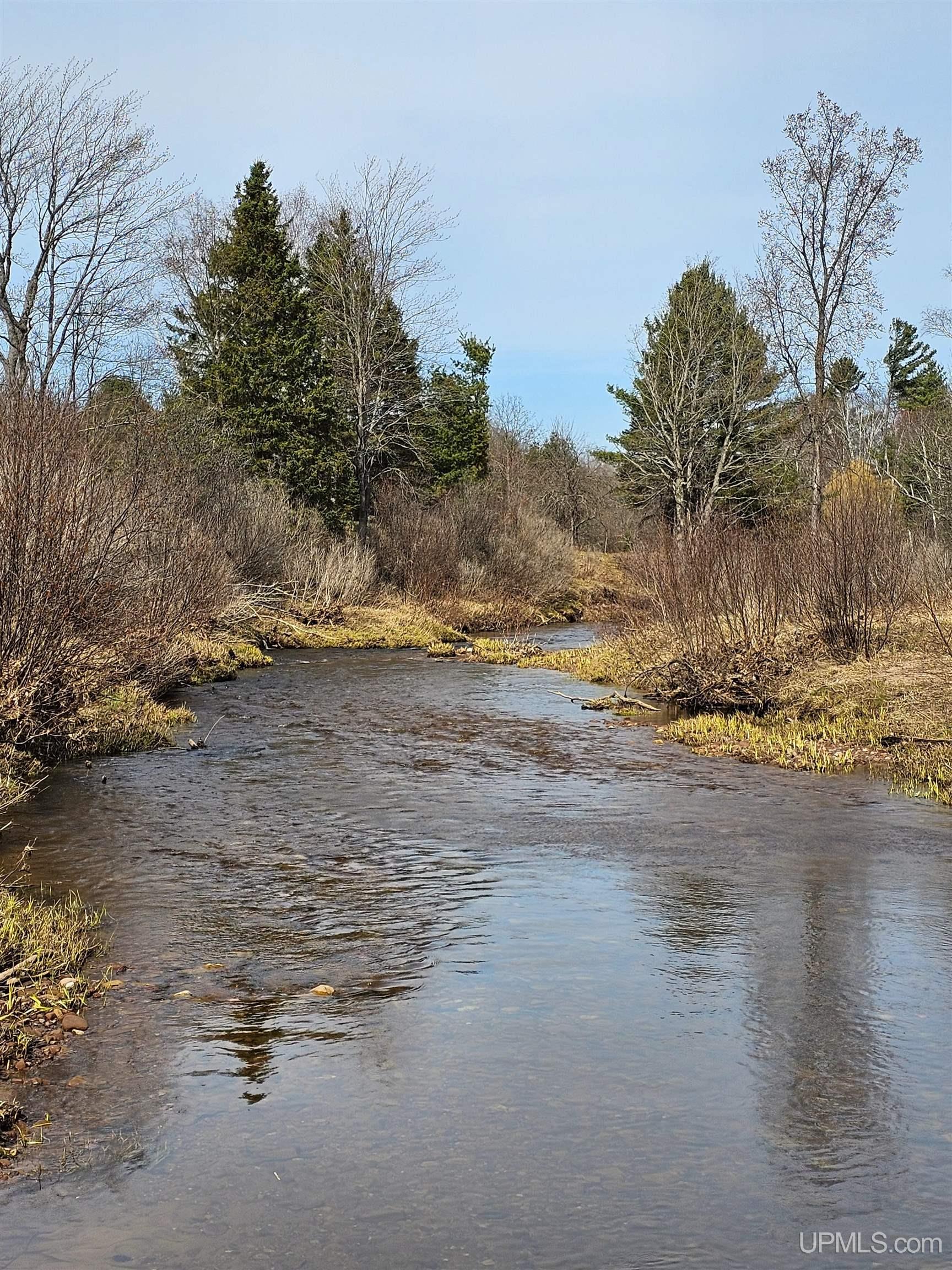 MLS 50207065 Large photo number 10 
