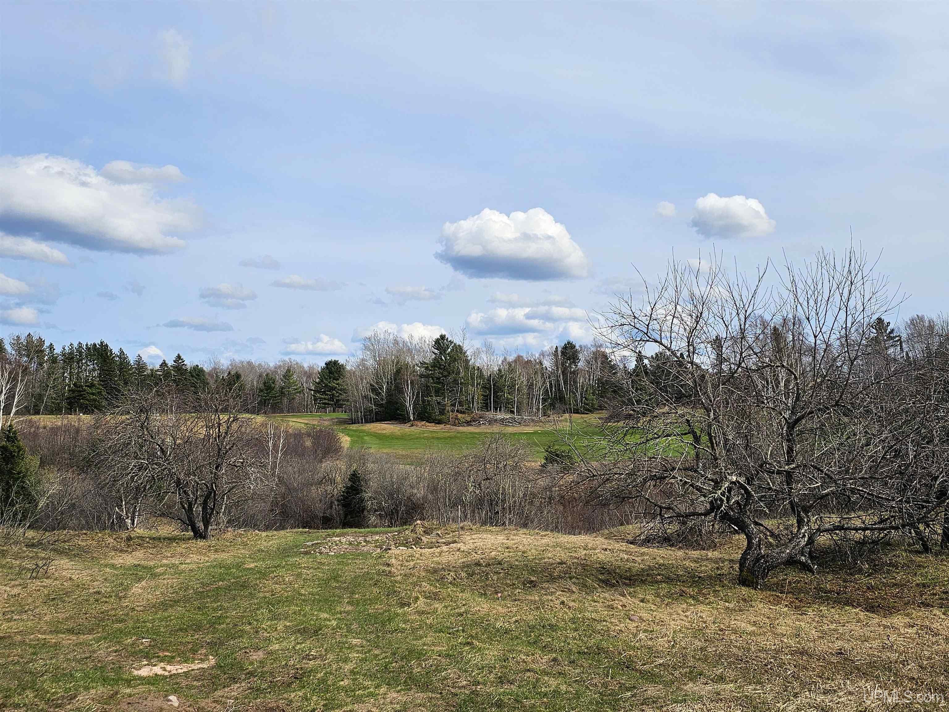 22089 River Trails Road, Houghton, MI, 49931