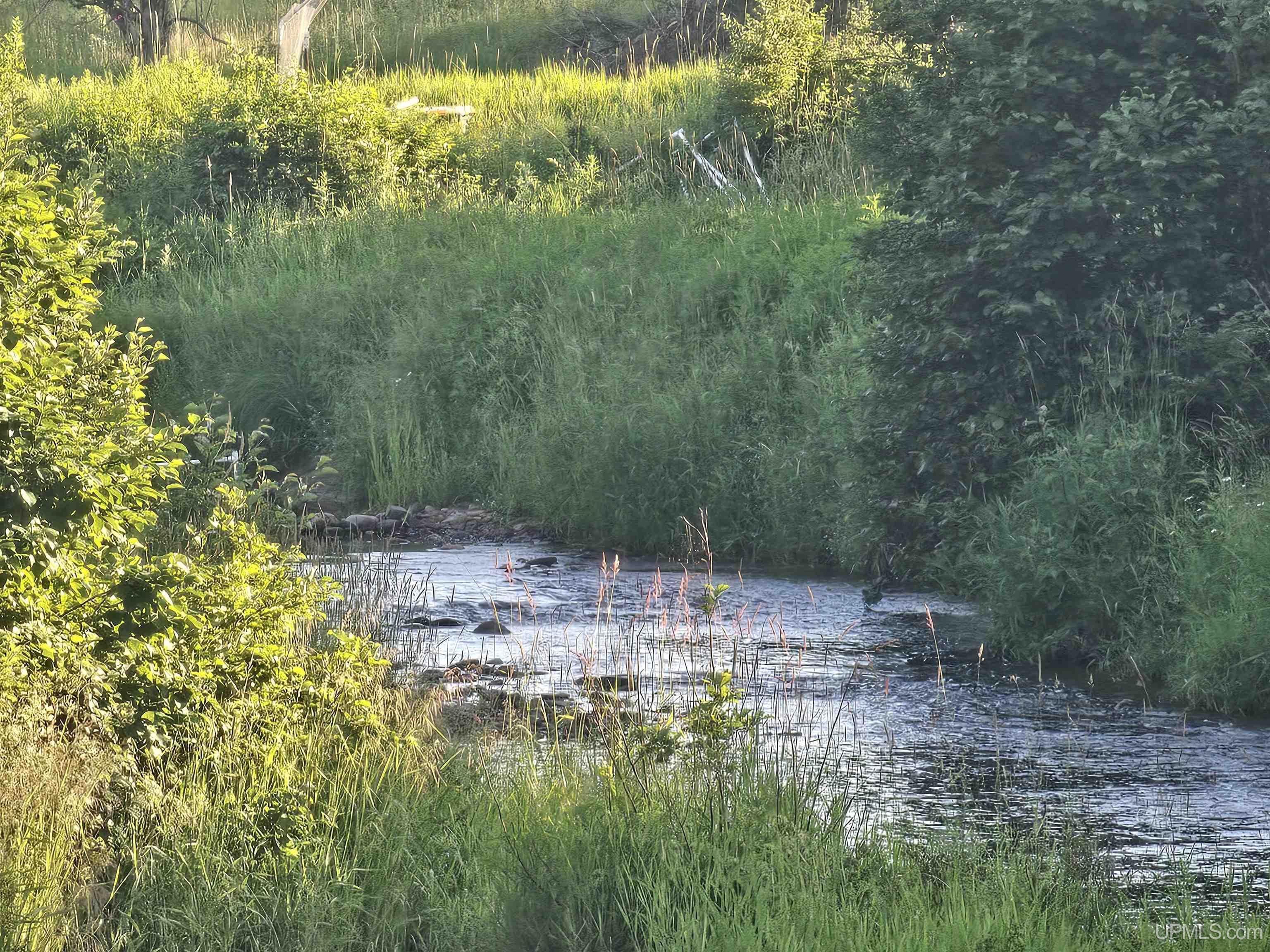 Photo 3 of Land for sale at 22089 River Trails Rd, Houghton, MI 49931 | MLS# 50207068 | Listing updated on 2026-09-26