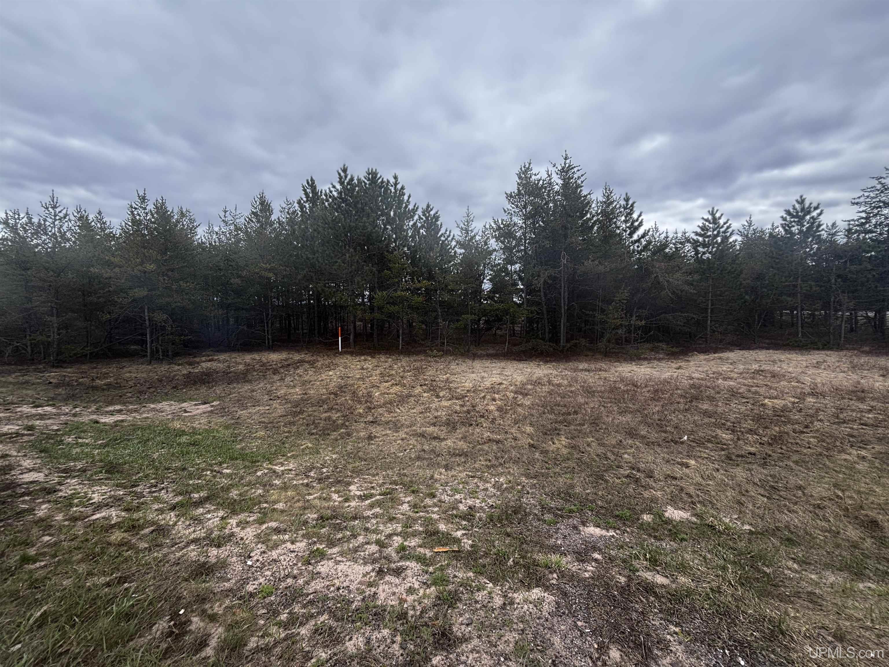 MLS 50207074 Large photo number 2 