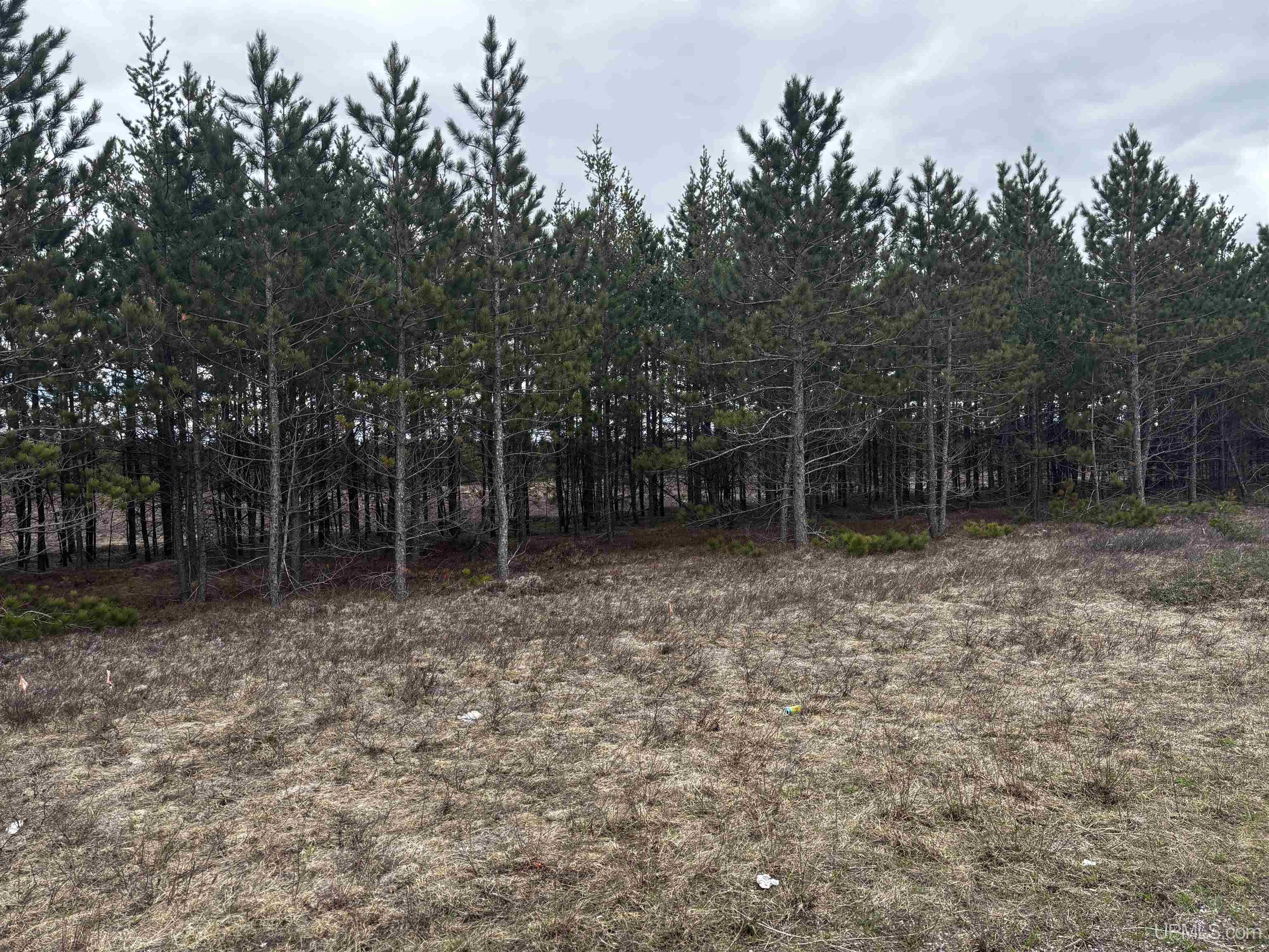MLS 50207074 Large photo number 3 