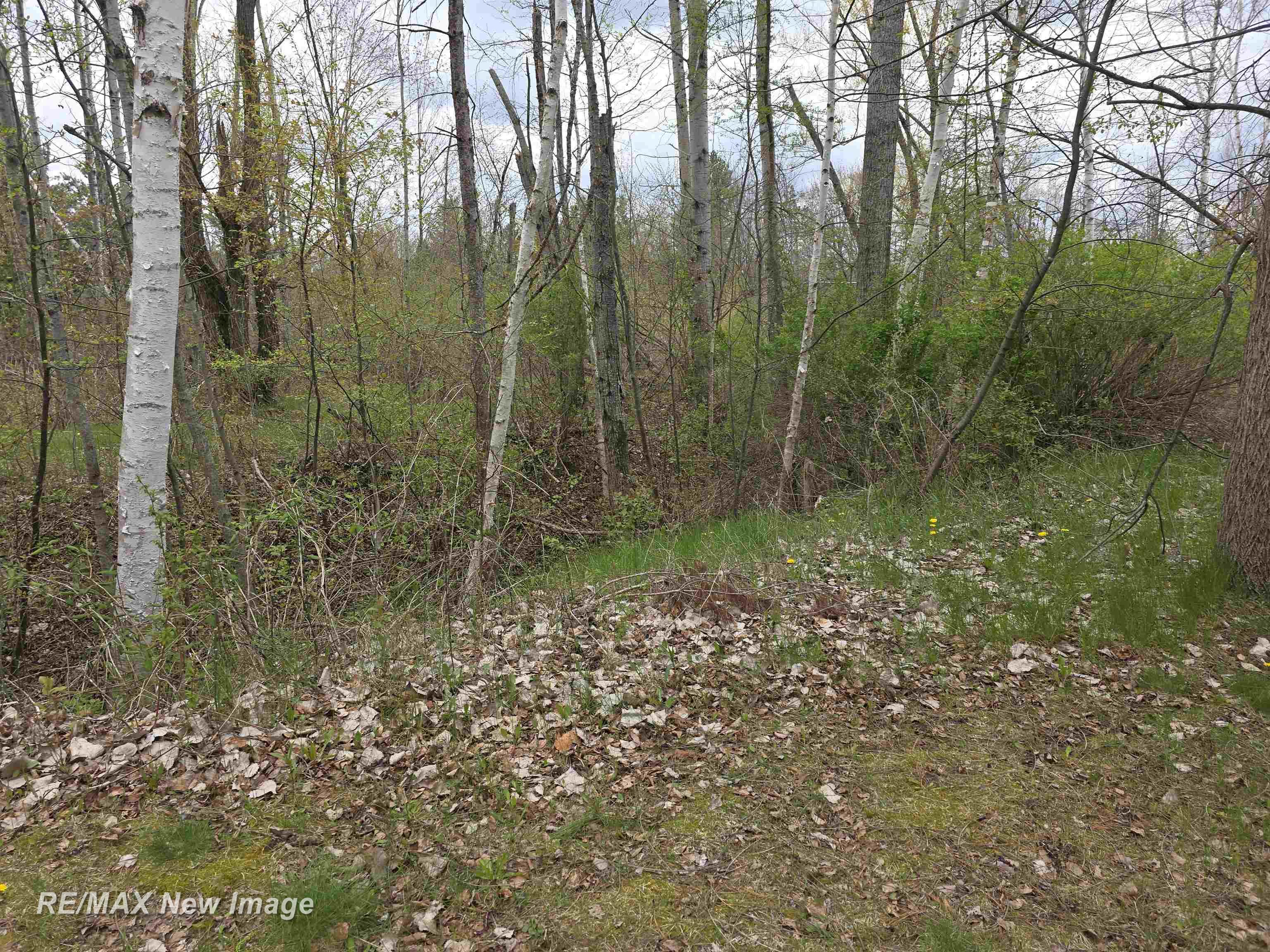 7469 Highland Drive, Alger, MI, 48610