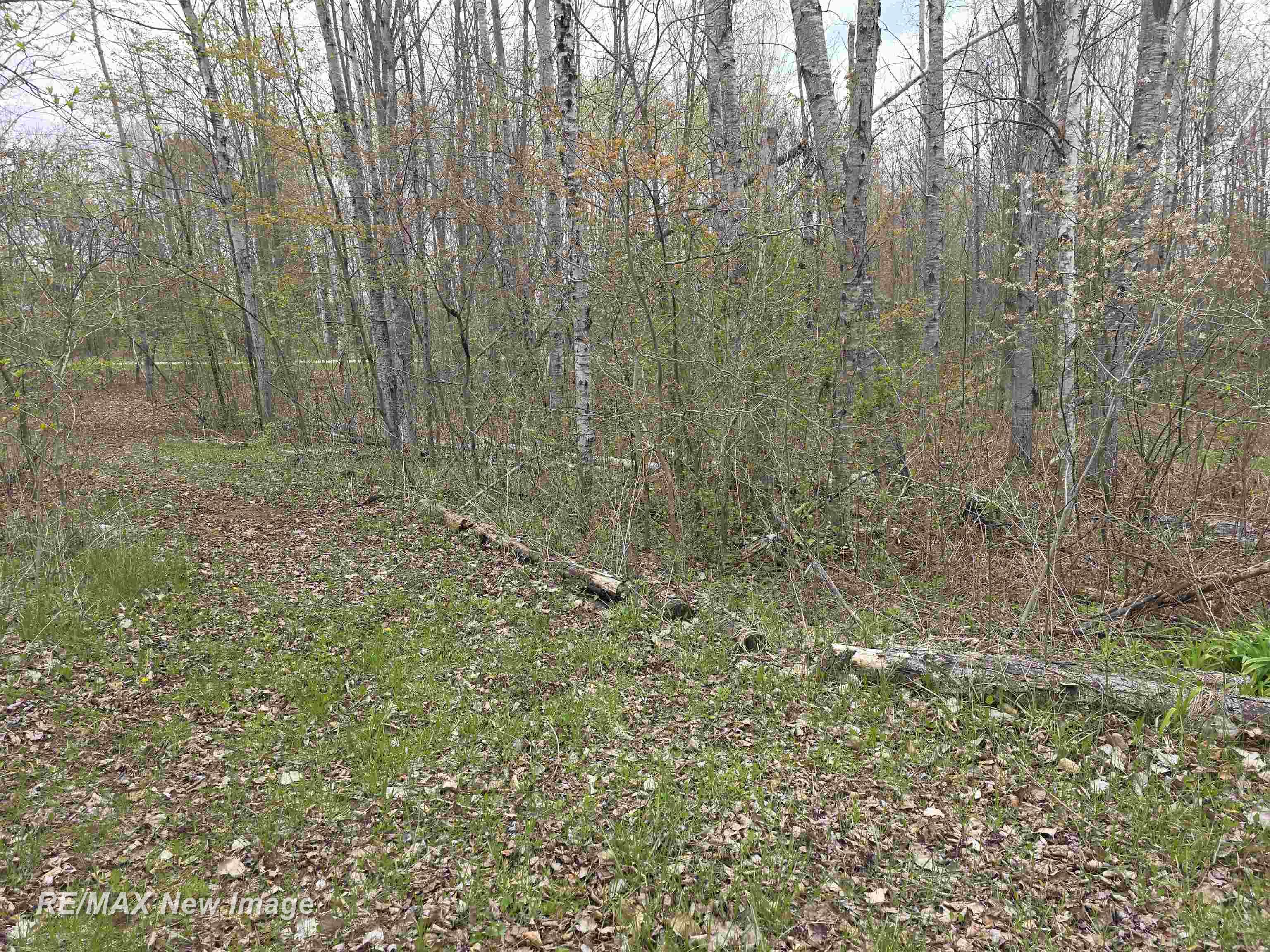 7469 Highland Drive, Alger, MI, 48610