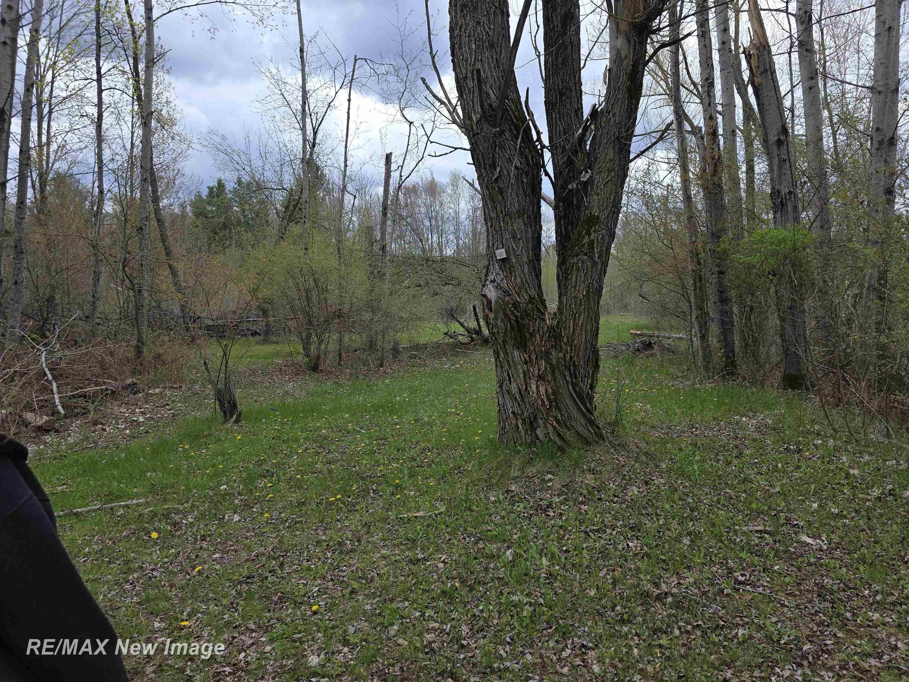 7469 Highland Drive, Alger, MI, 48610