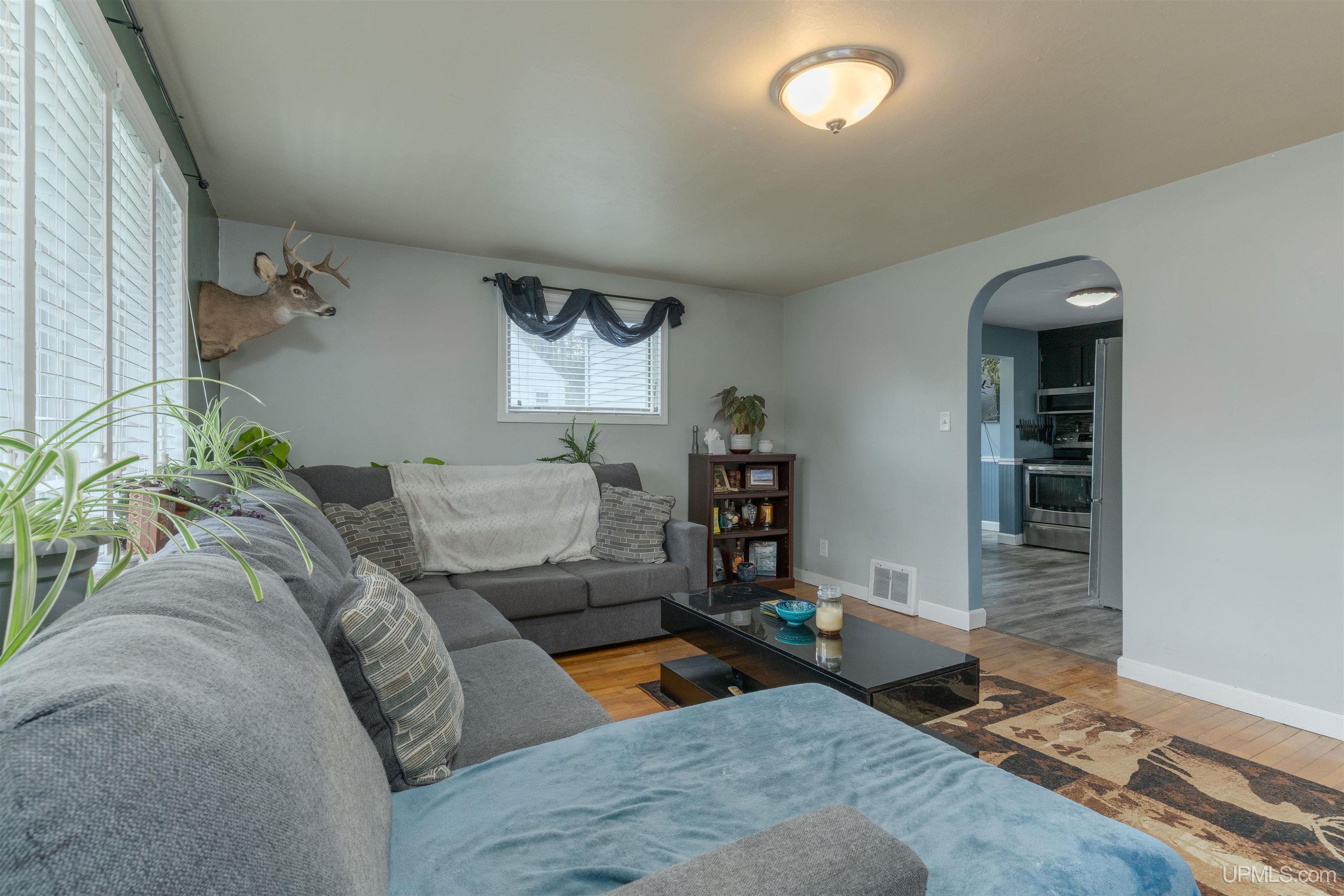 725 W Ice Lake Road, Iron River, MI, 49935