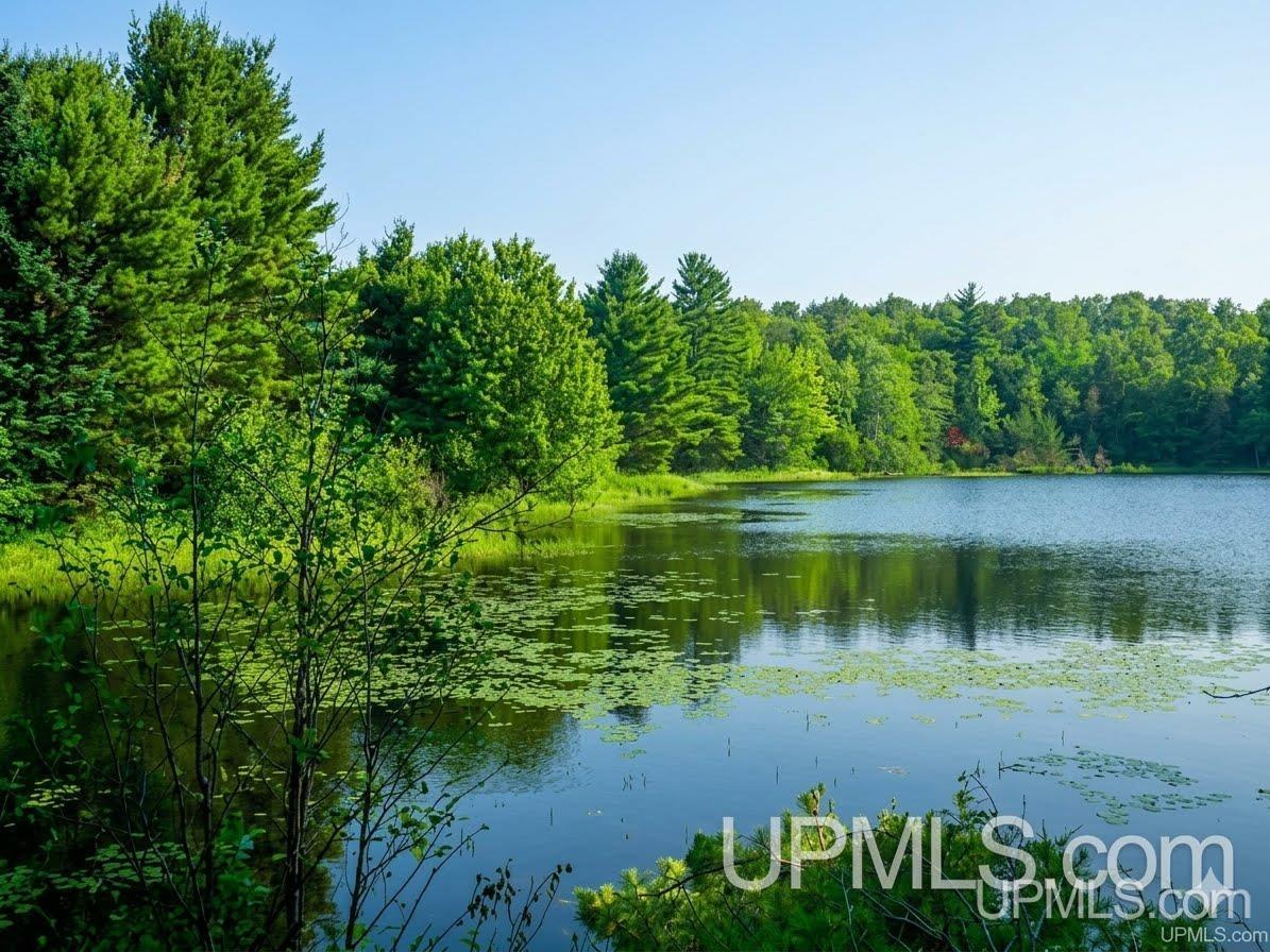 Lots E and F Moonview Drive, Sidnaw, MI, 49961