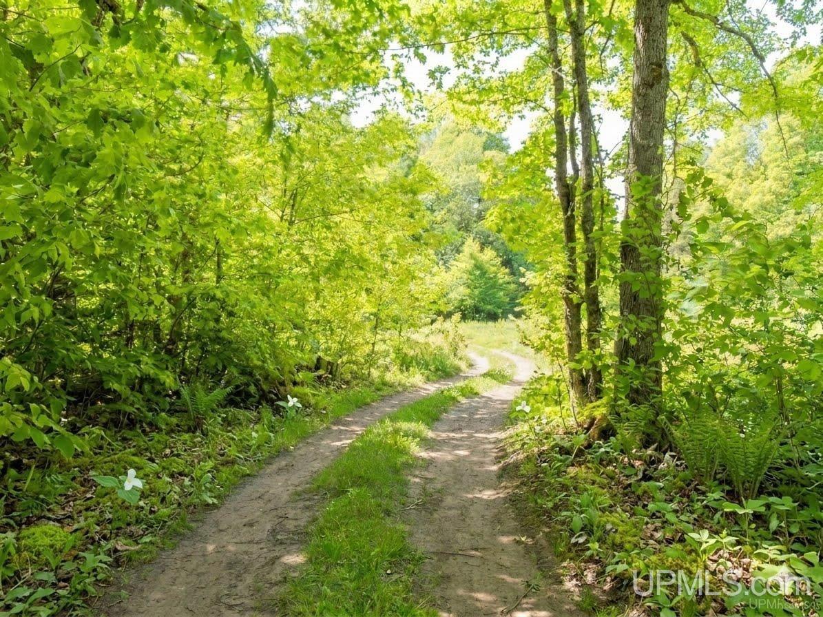Lots E and F Moonview Drive, Sidnaw, MI, 49961
