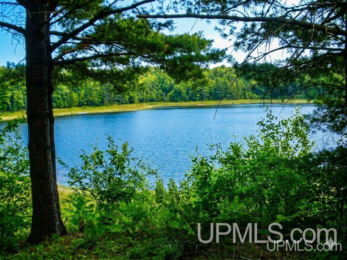 Lots E and F Moonview Drive, Sidnaw, MI, 49961