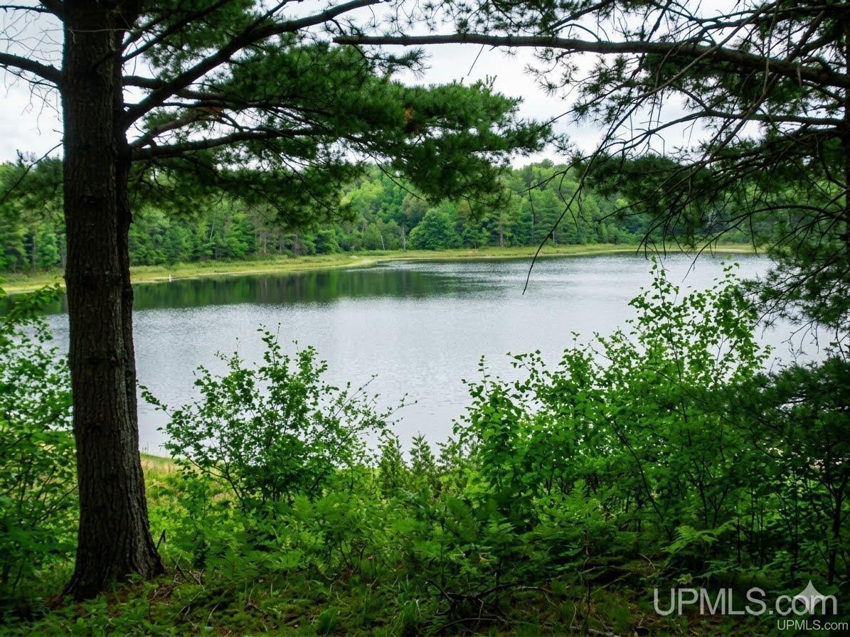 Lots E and F Moonview Drive, Sidnaw, MI, 49961