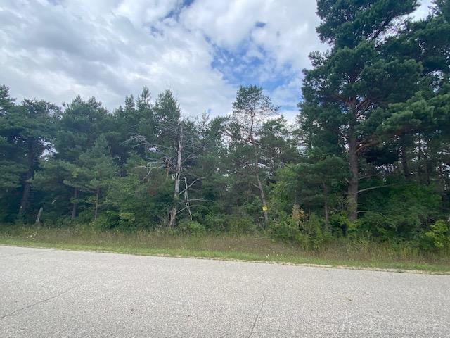 0 Elder Lot B Road, Mancelona, MI, 49659