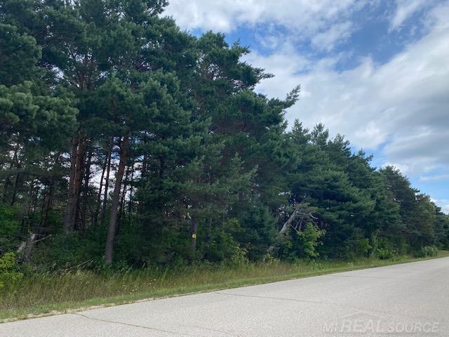 0 Elder Lot B Road, Mancelona, MI, 49659