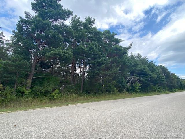 0 Elder Lot B Road, Mancelona, MI, 49659