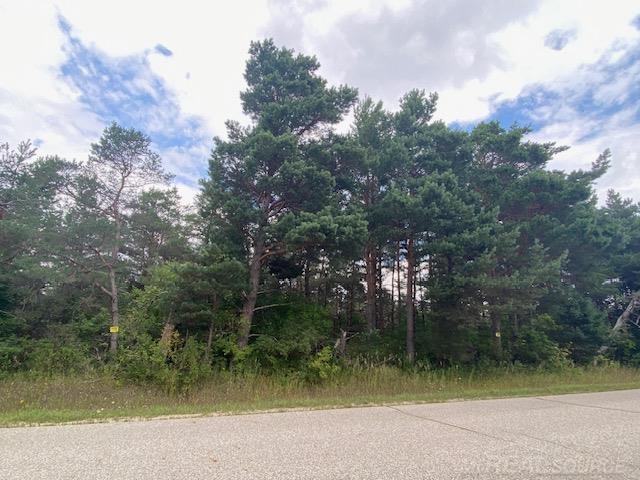 0 Elder Lot B Road, Mancelona, MI, 49659