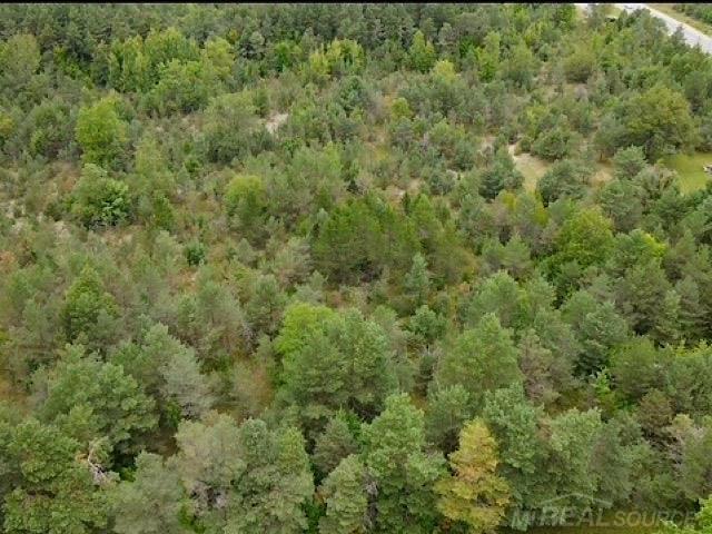 0 Elder Lot B Road, Mancelona, MI, 49659