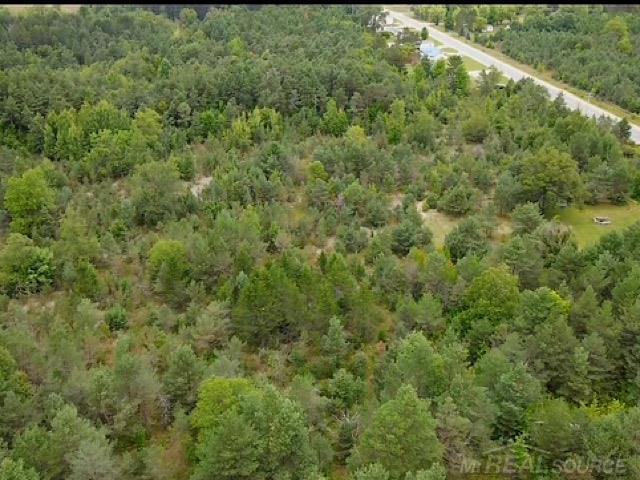 0 Elder Lot B Road, Mancelona, MI, 49659