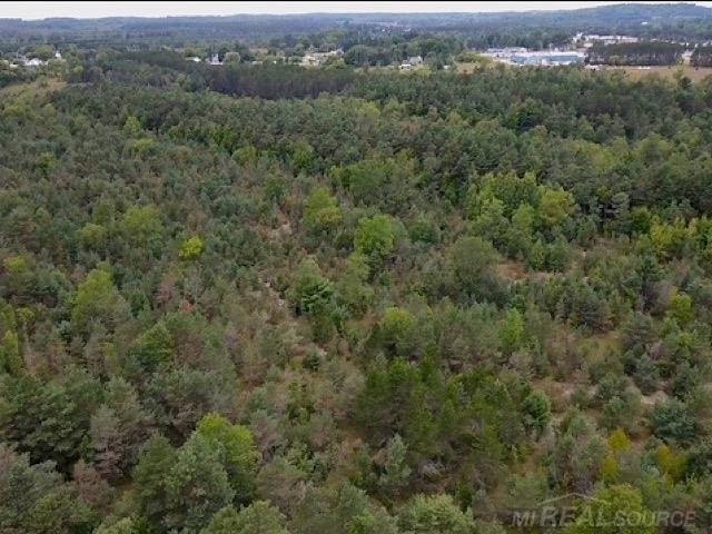 0 Elder Lot B Road, Mancelona, MI, 49659