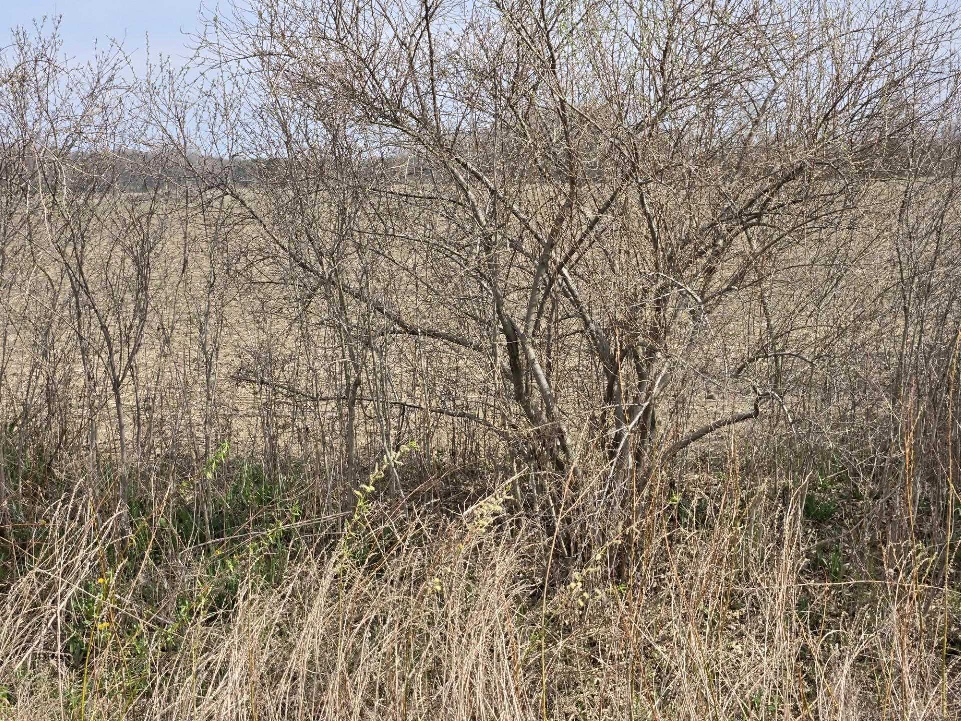 0 Weber (Lot A) Road, Richmond Twp, MI, 48063