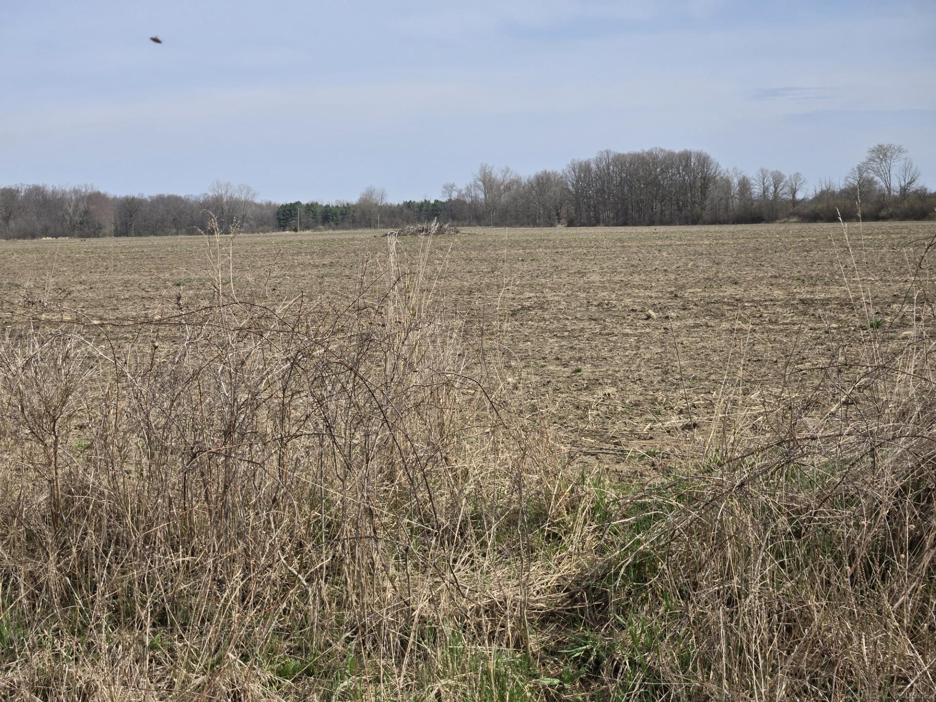 0 Weber (Lot A) Road, Richmond Twp, MI, 48063