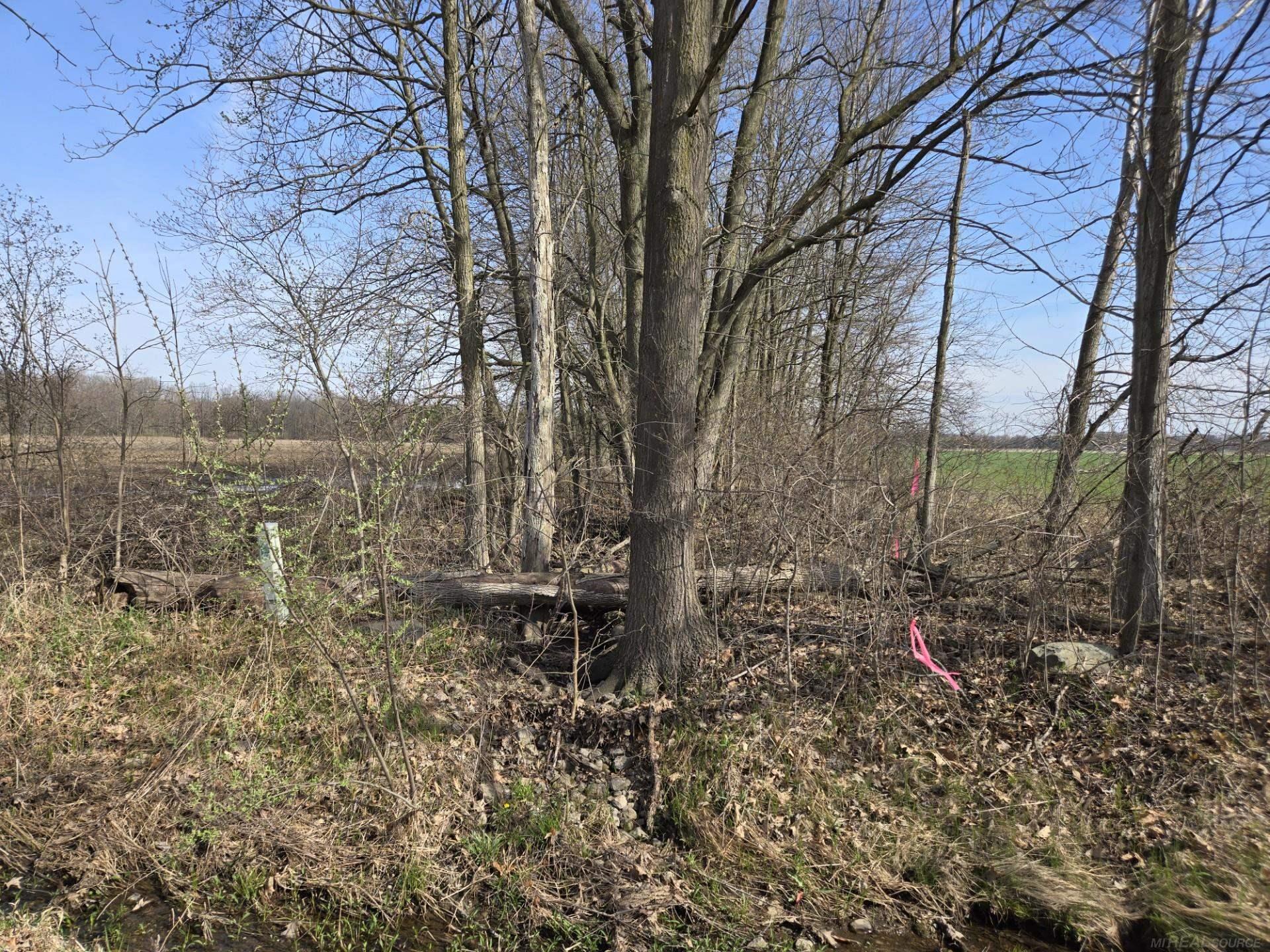 0 Weber (Lot A) Road, Richmond Twp, MI, 48063