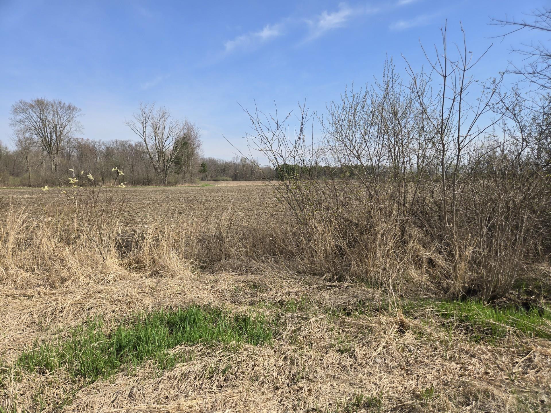 0 Weber (Lot A) Road, Richmond Twp, MI, 48063