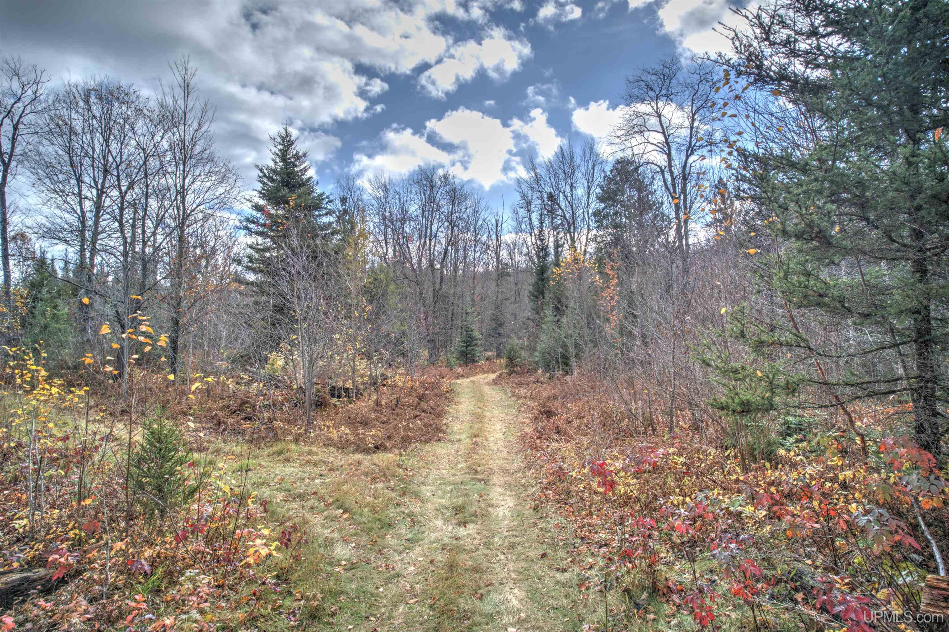 MLS 50207196 Large photo number 63 