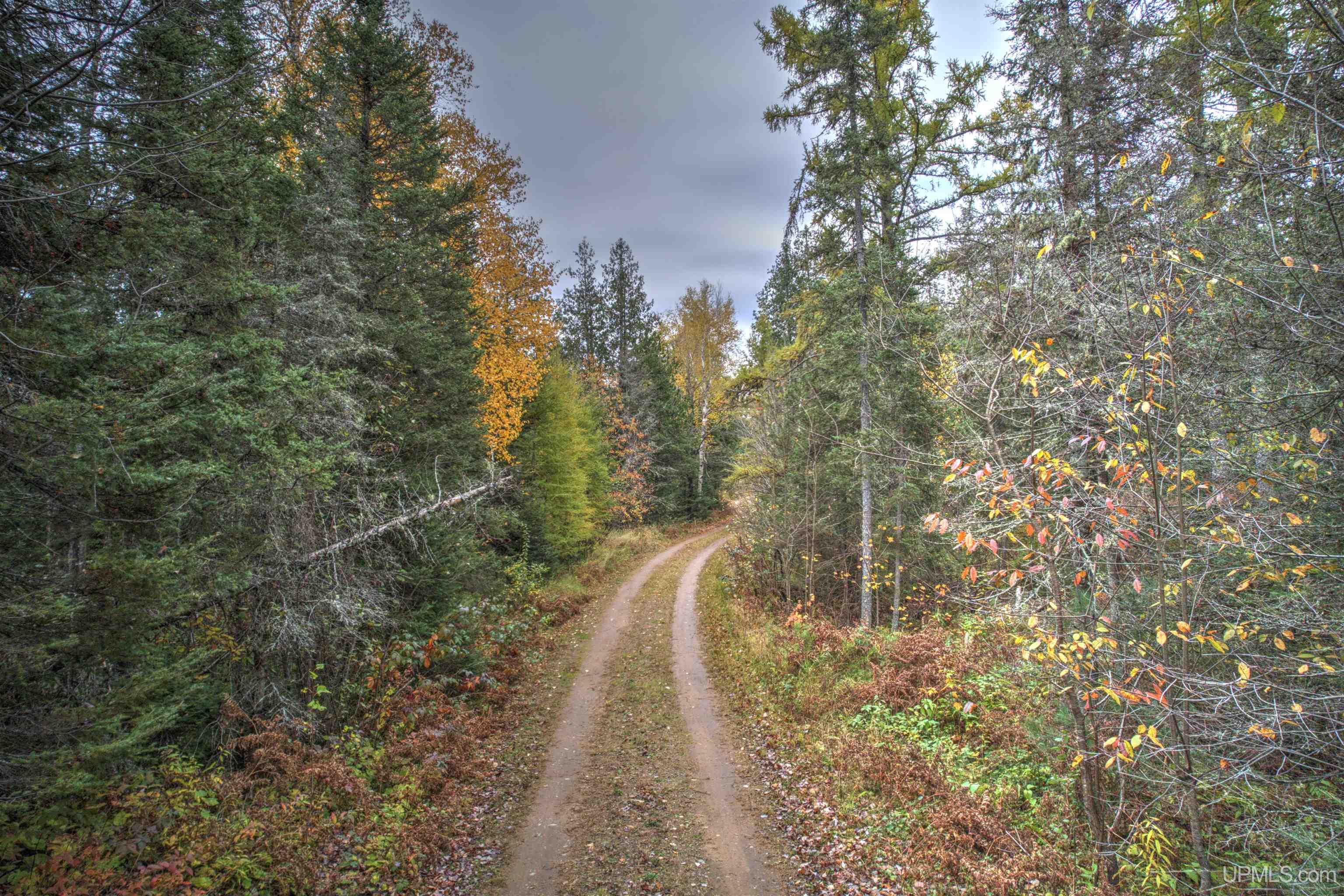 MLS 50207196 Large photo number 64 