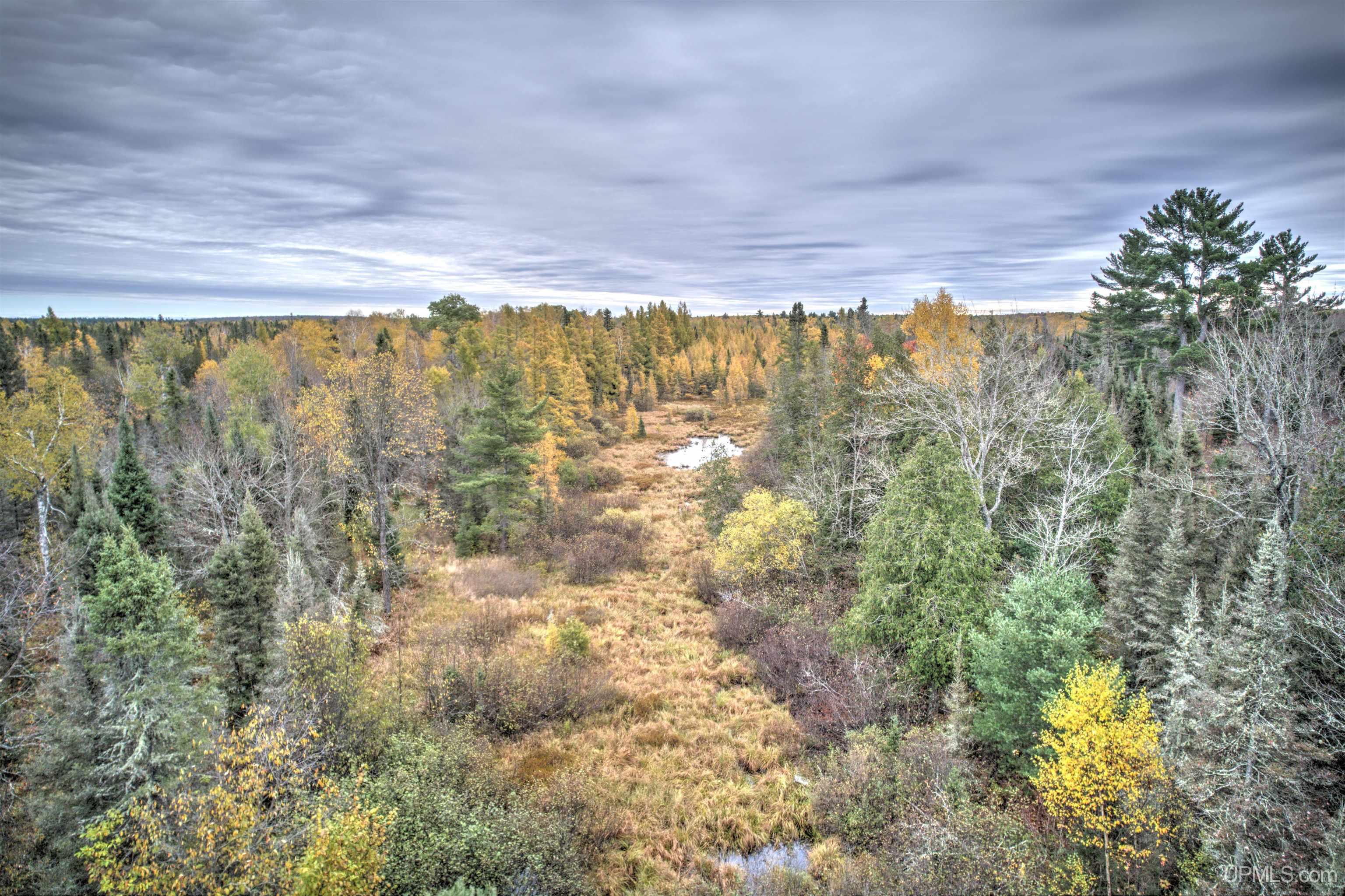 MLS 50207196 Large photo number 71 