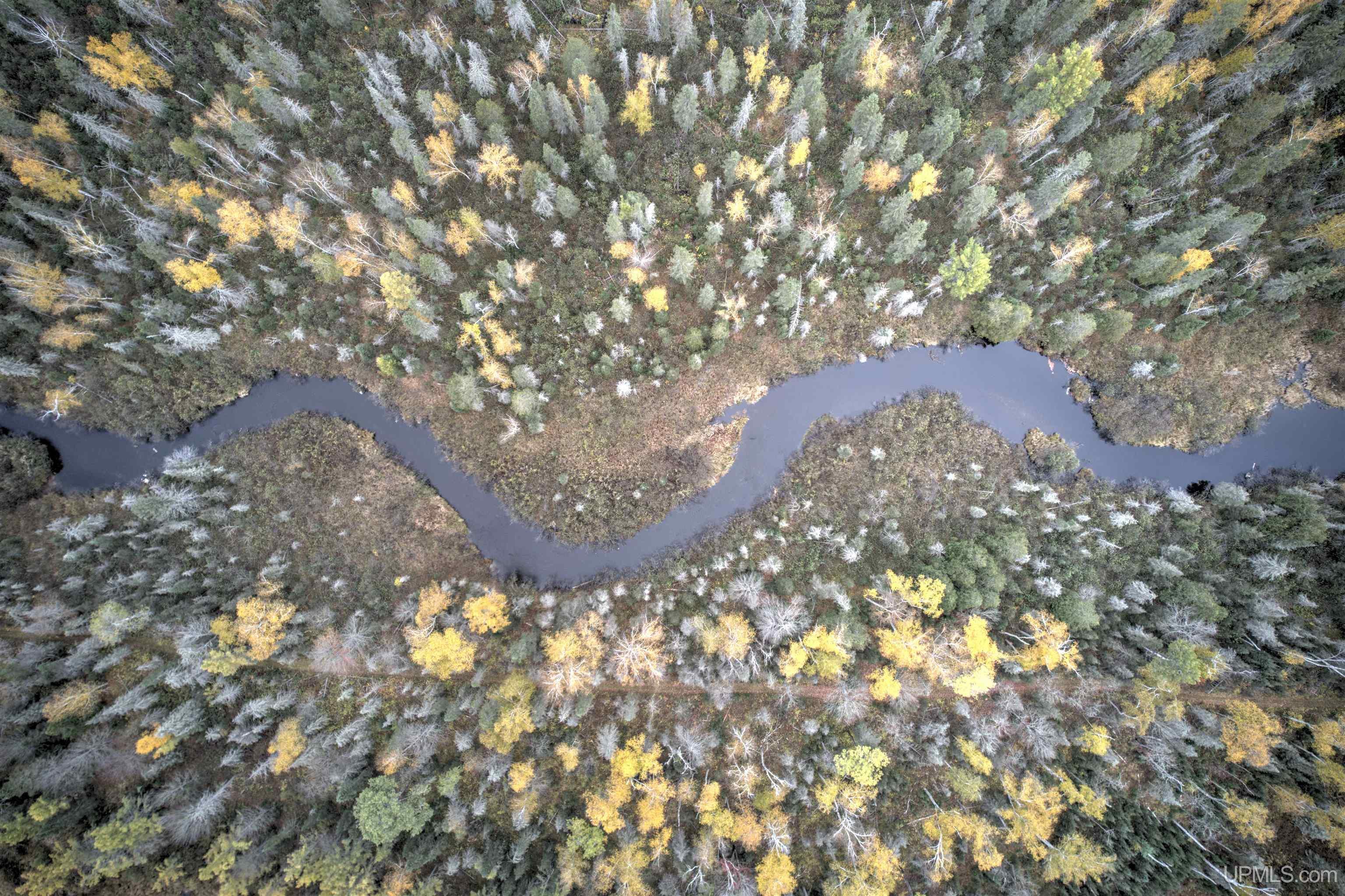 MLS 50207196 Large photo number 80 