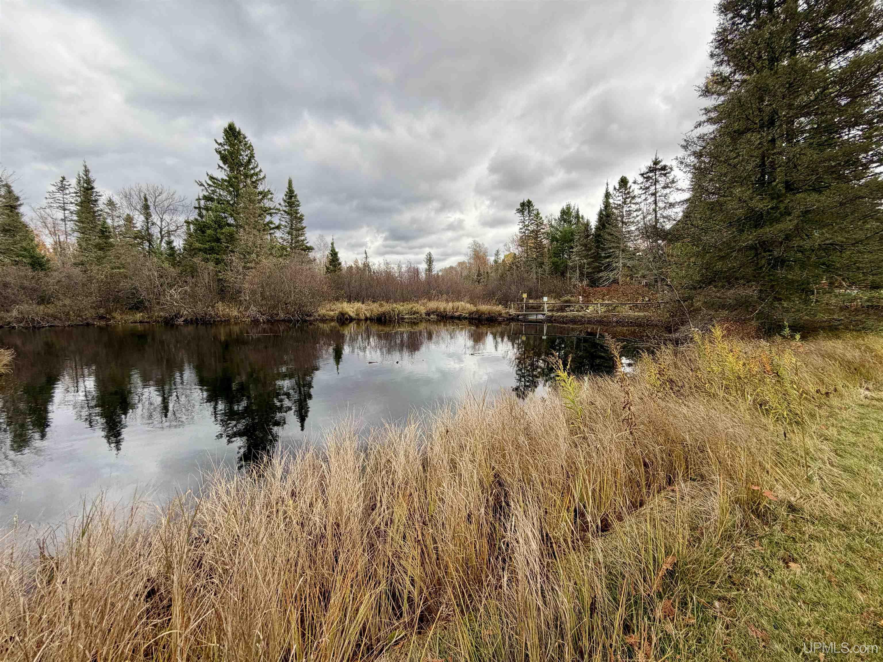 MLS 50207196 Large photo number 81 