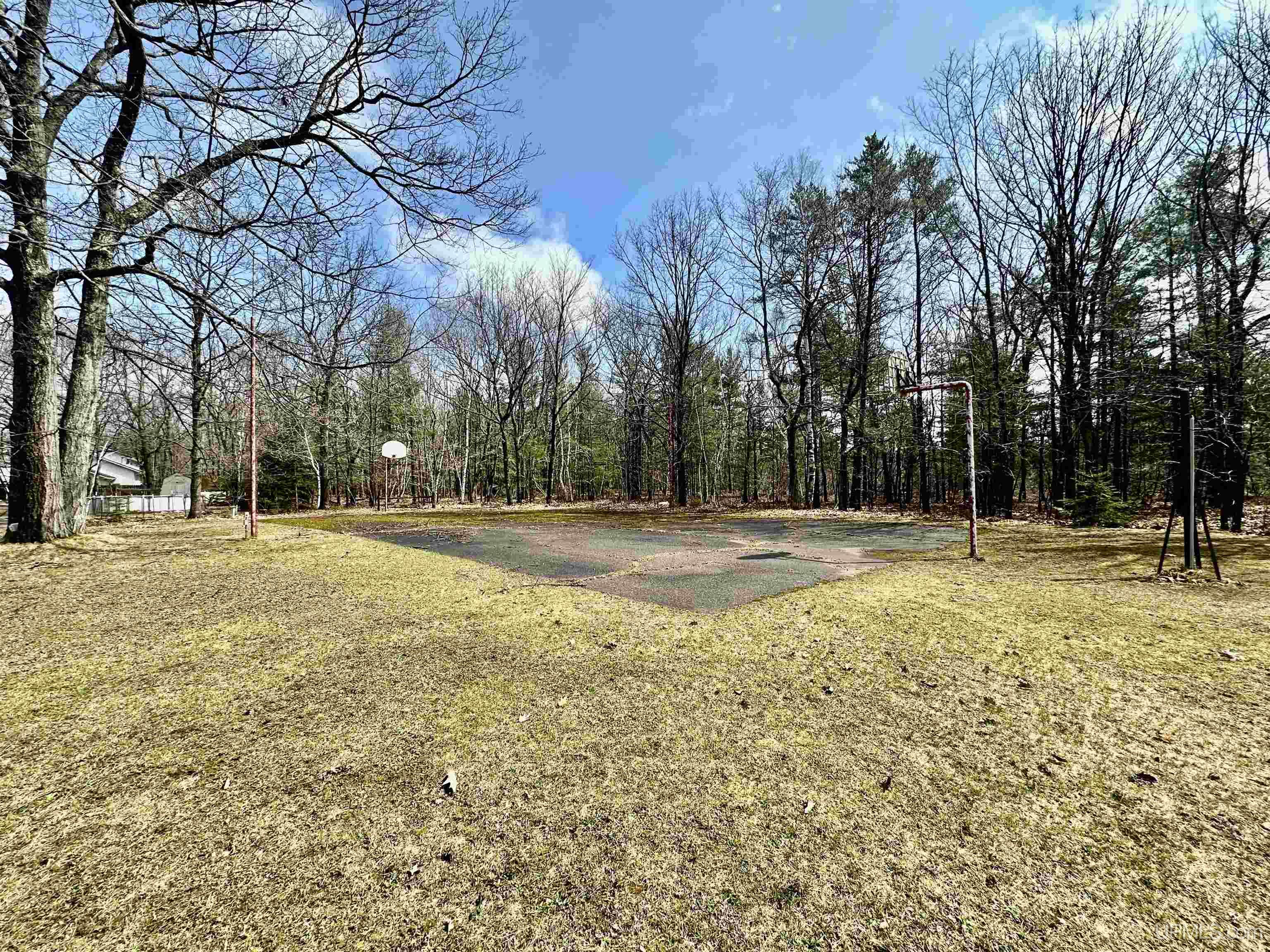 MLS 50207449 Large photo number 7 
