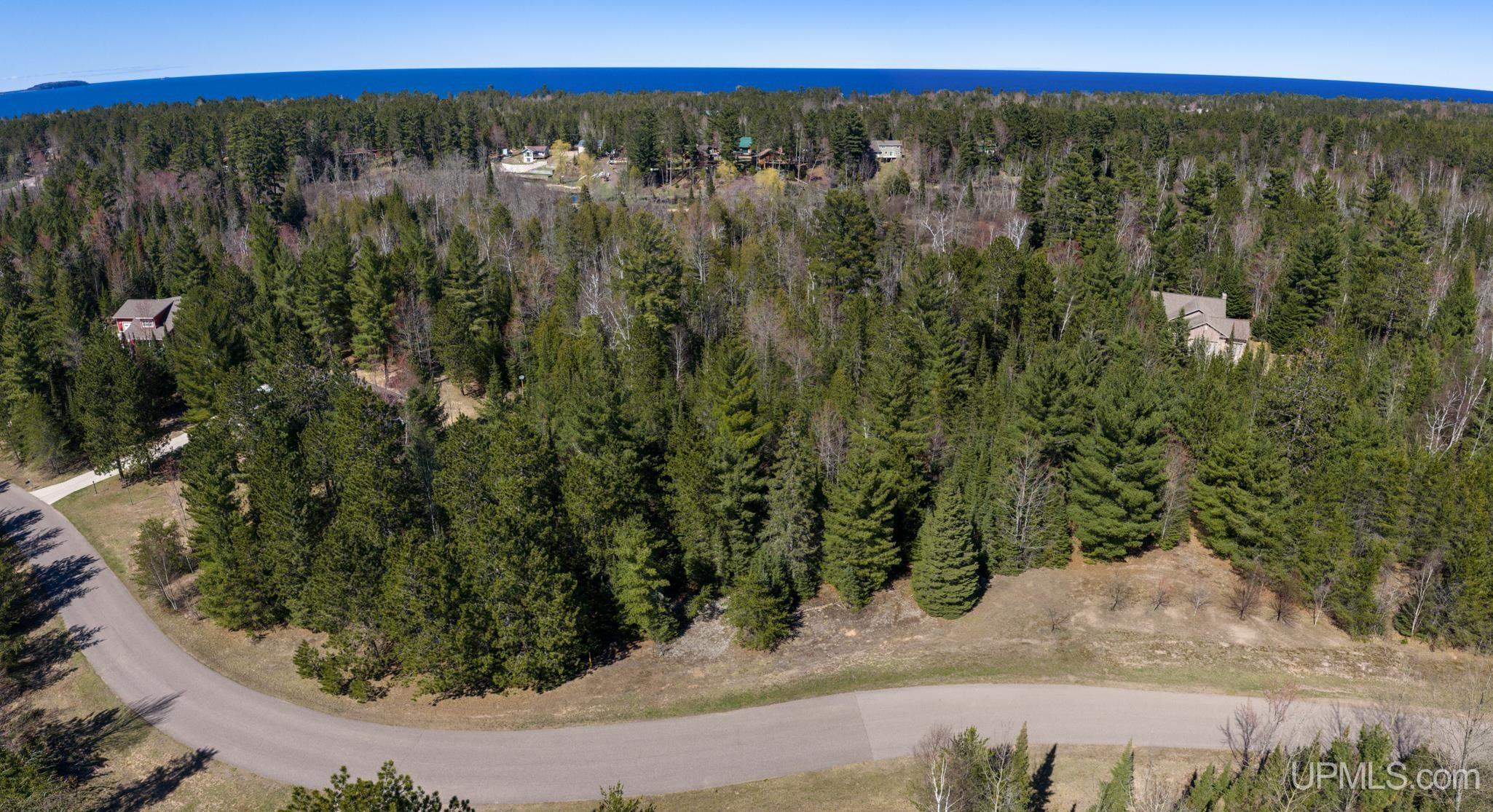 MLS 50207520 Large photo number 4 