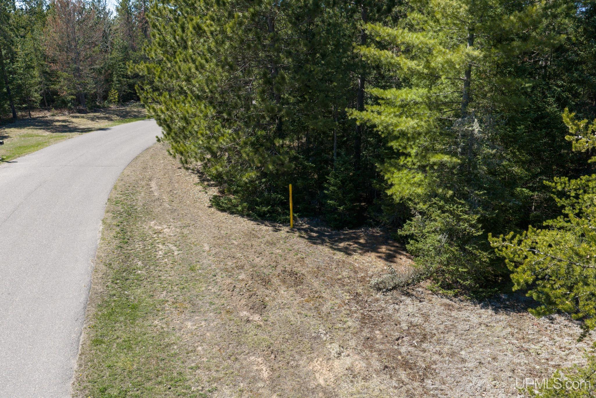 MLS 50207520 Large photo number 6 